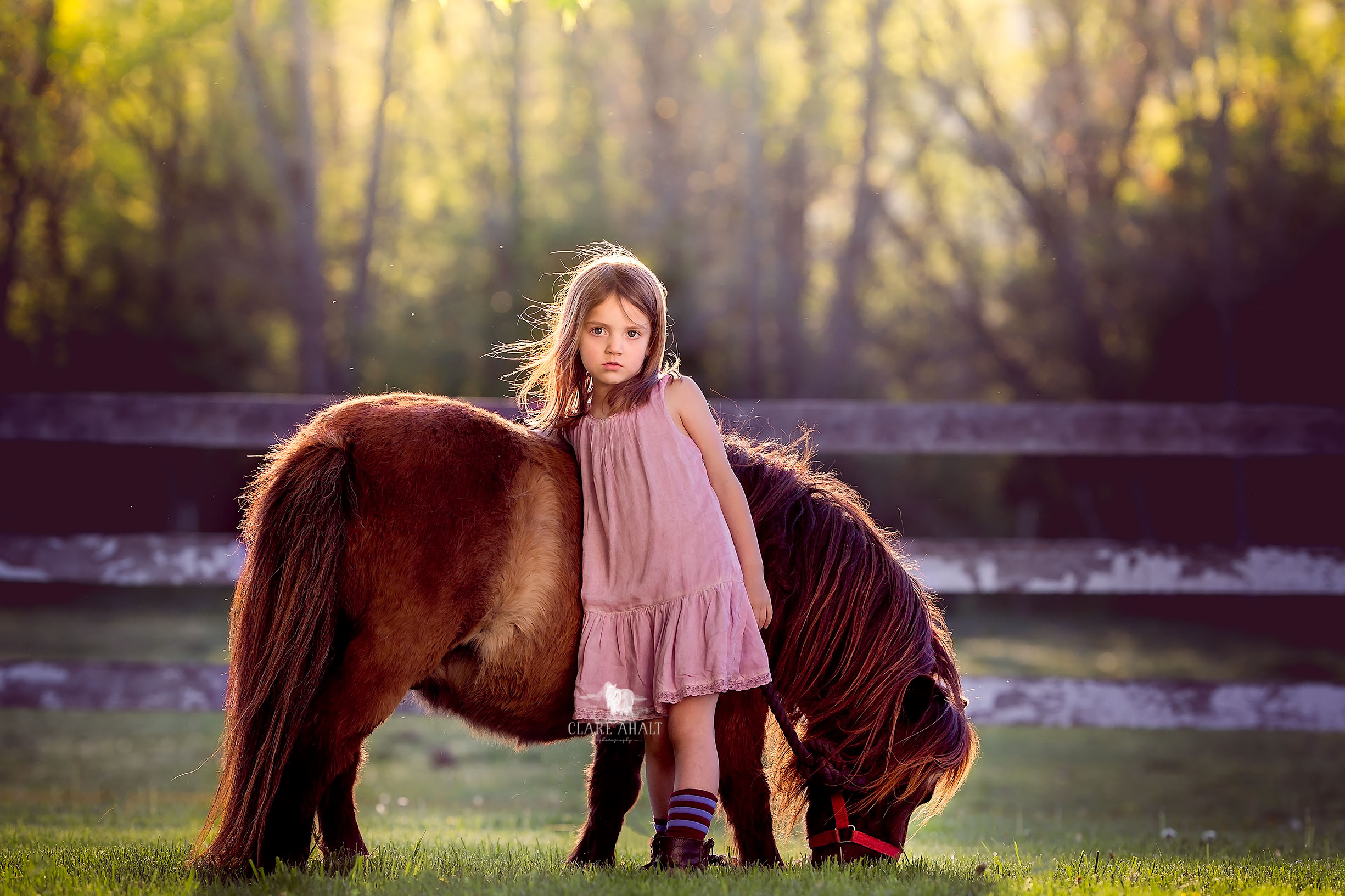 child-photographer-frederick-md-photographer-clare-ahalt-photography.jpg