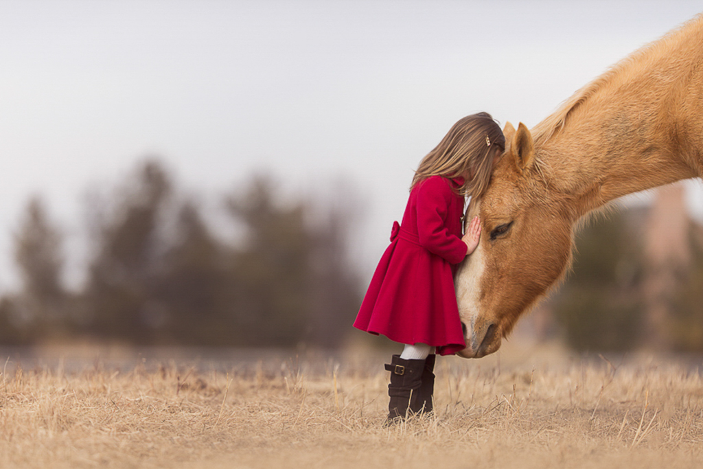 Child_photographer_frederick_MD.jpg_1.jpg