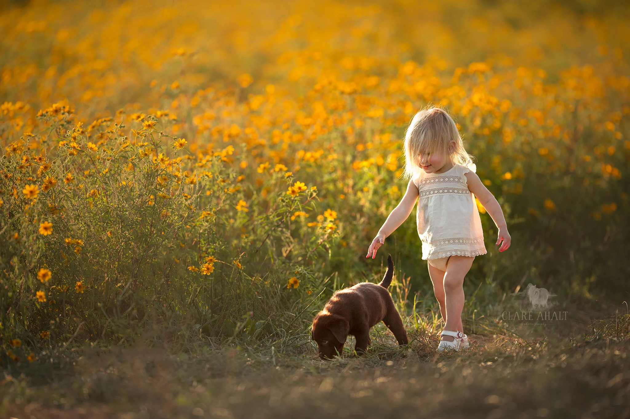 maryland_child_photographer_potomac_MD.jpg