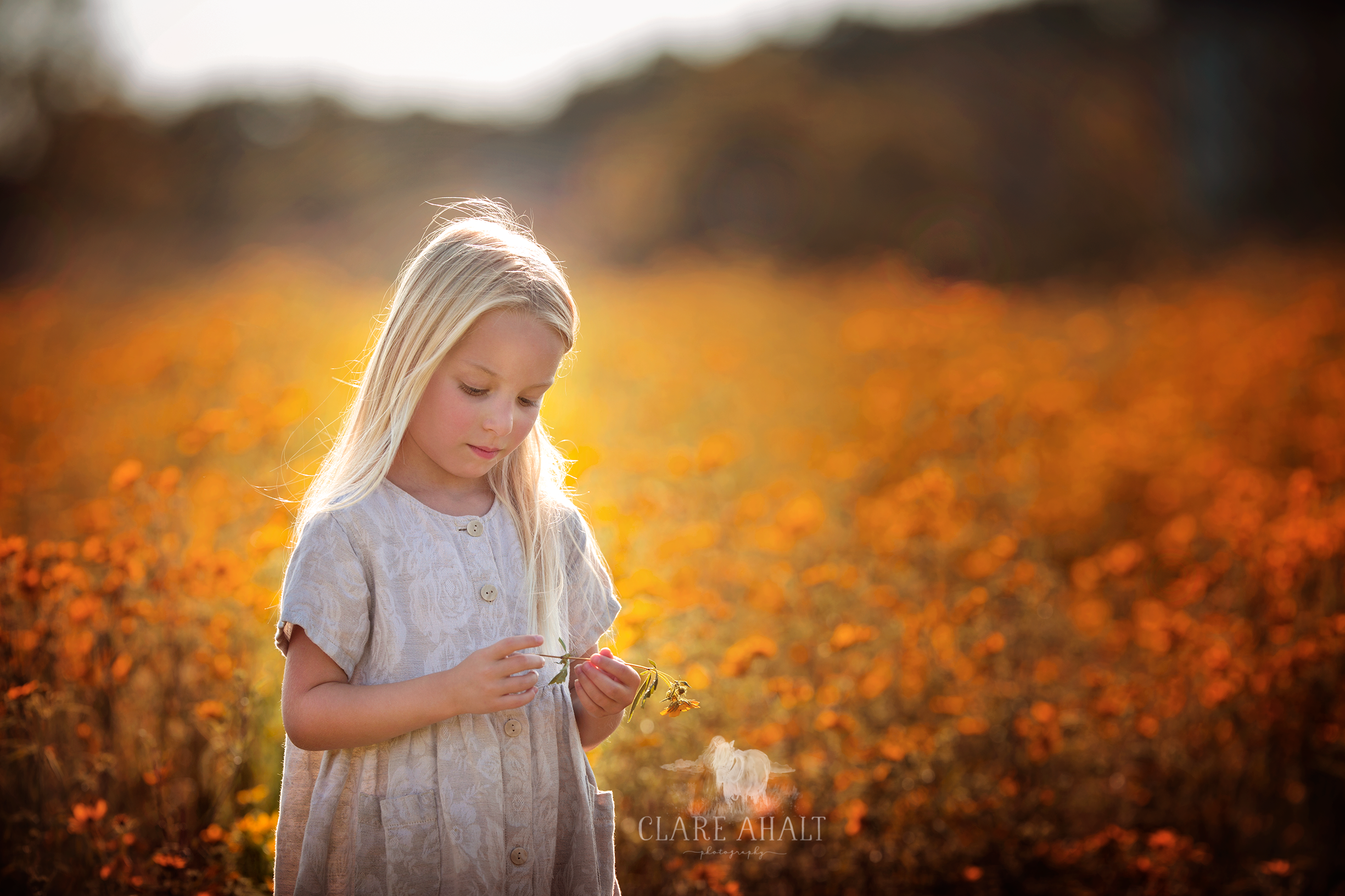 photographer_maryland_child_photographer_frederick_MD_photographer_urbana_MD_photographer_potomac_MD_photographer_mclean_VA_photographer_elena_shumilova_workshop.png