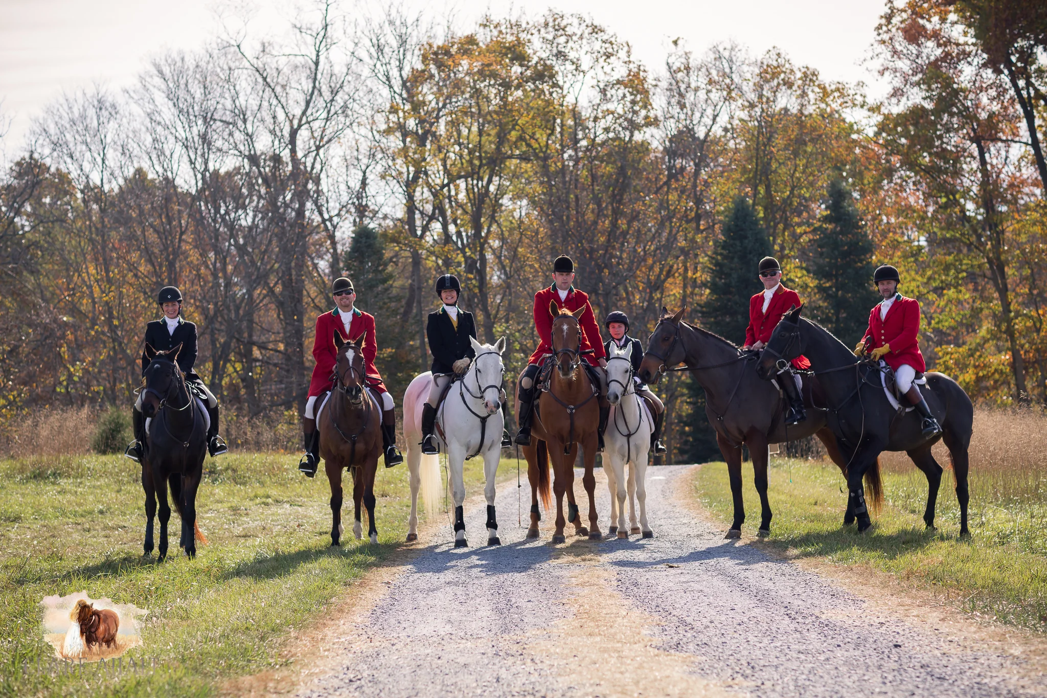 Best_Equestrian_Photographer_Maryland_equine_photographer_northern_virginia_equestrian_Photographer-2.jpg