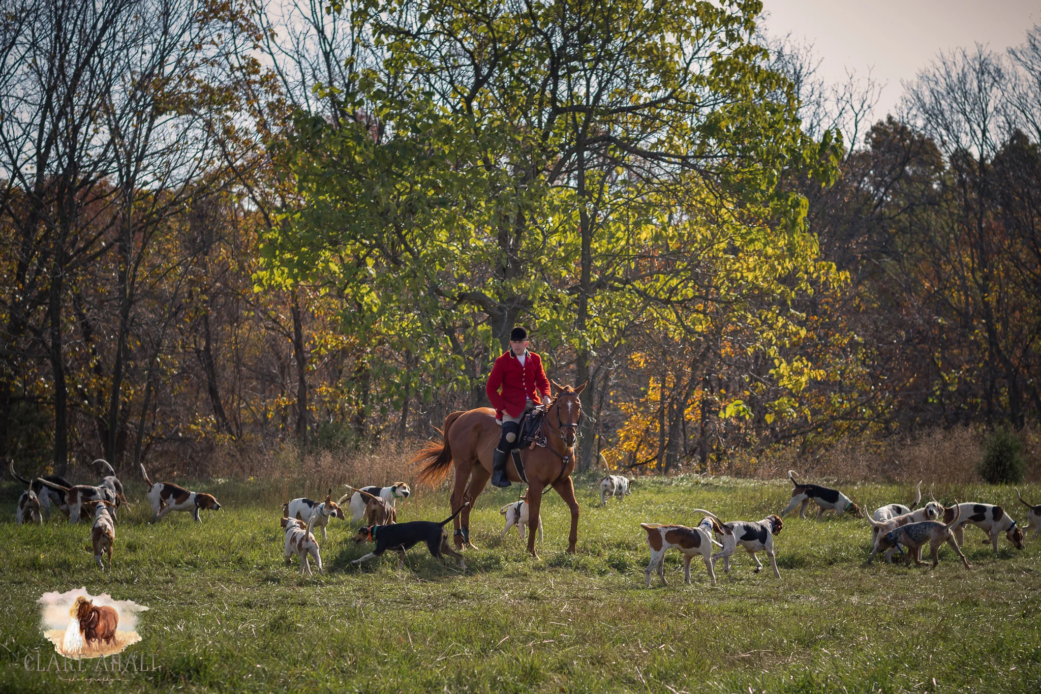 Best_Equestrian_Photographer_Maryland_equine_photographer_northern_virginia_equestrian_Photographer-3.jpg