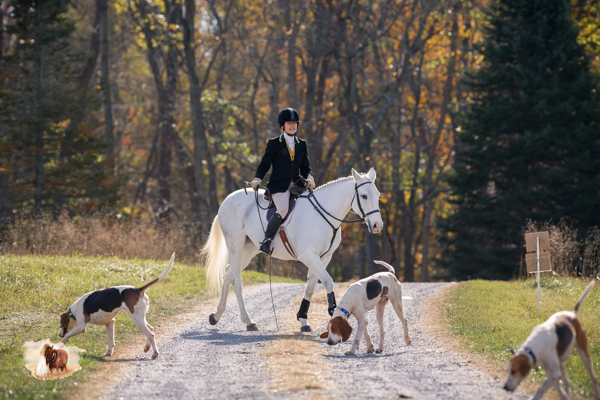 Best_Equestrian_Photographer_Maryland_equine_photographer_northern_virginia_equestrian_Photographer-6.jpg