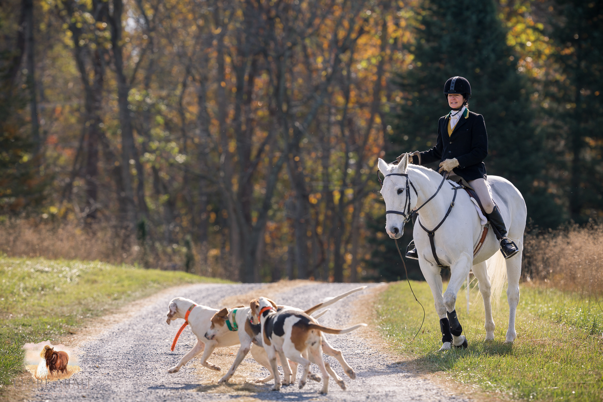 Best_Equestrian_Photographer_Maryland_equine_photographer_northern_virginia_equestrian_Photographer-7.jpg