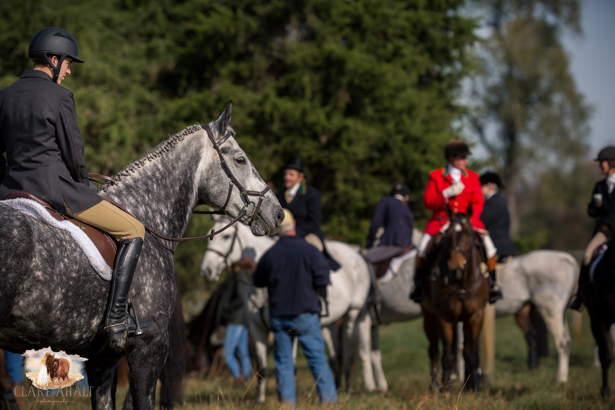 Best_Equestrian_Photographer_Maryland_equine_photographer_northern_virginia_equestrian_Photographer-10.jpg