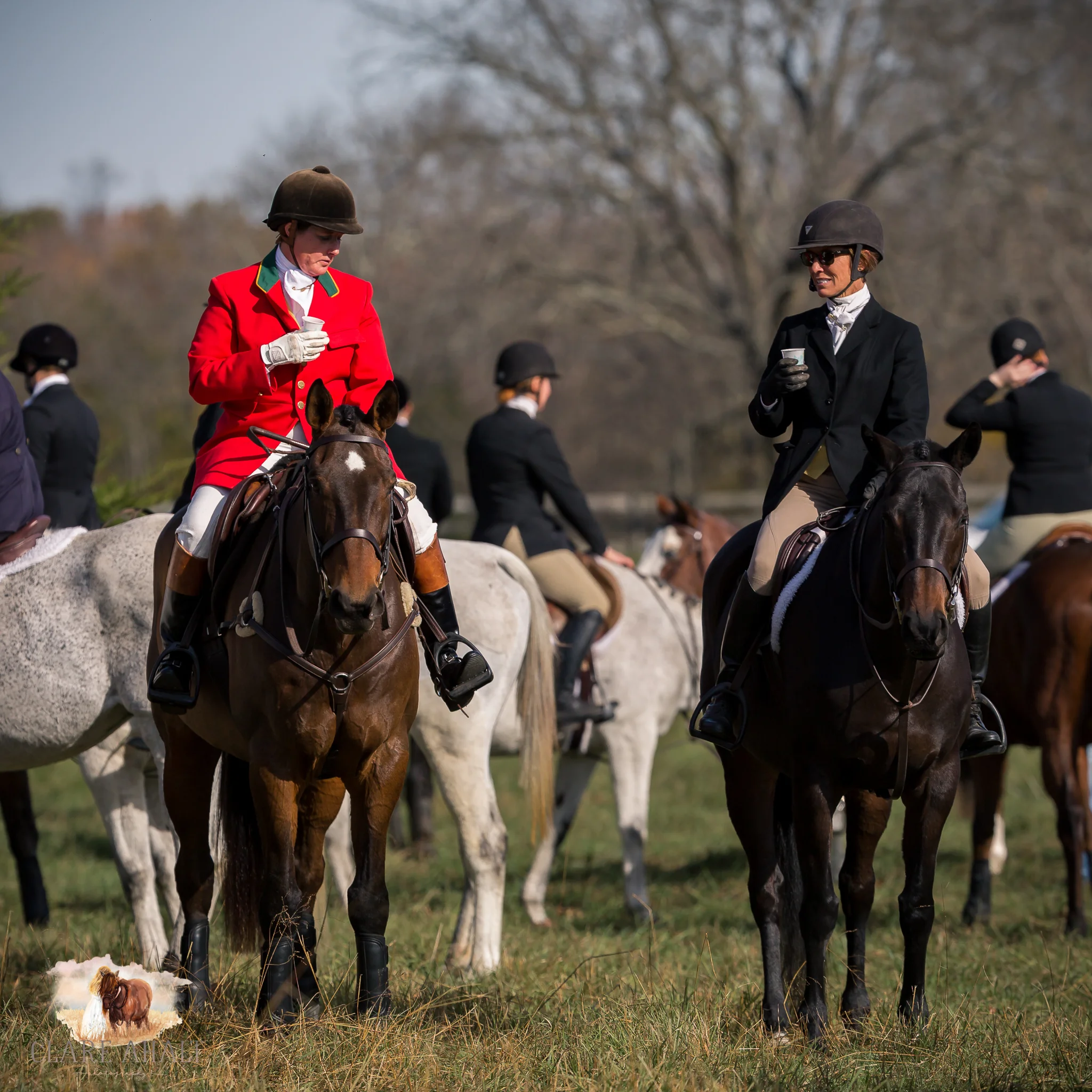 Best_Equestrian_Photographer_Maryland_equine_photographer_northern_virginia_equestrian_Photographer-11.jpg
