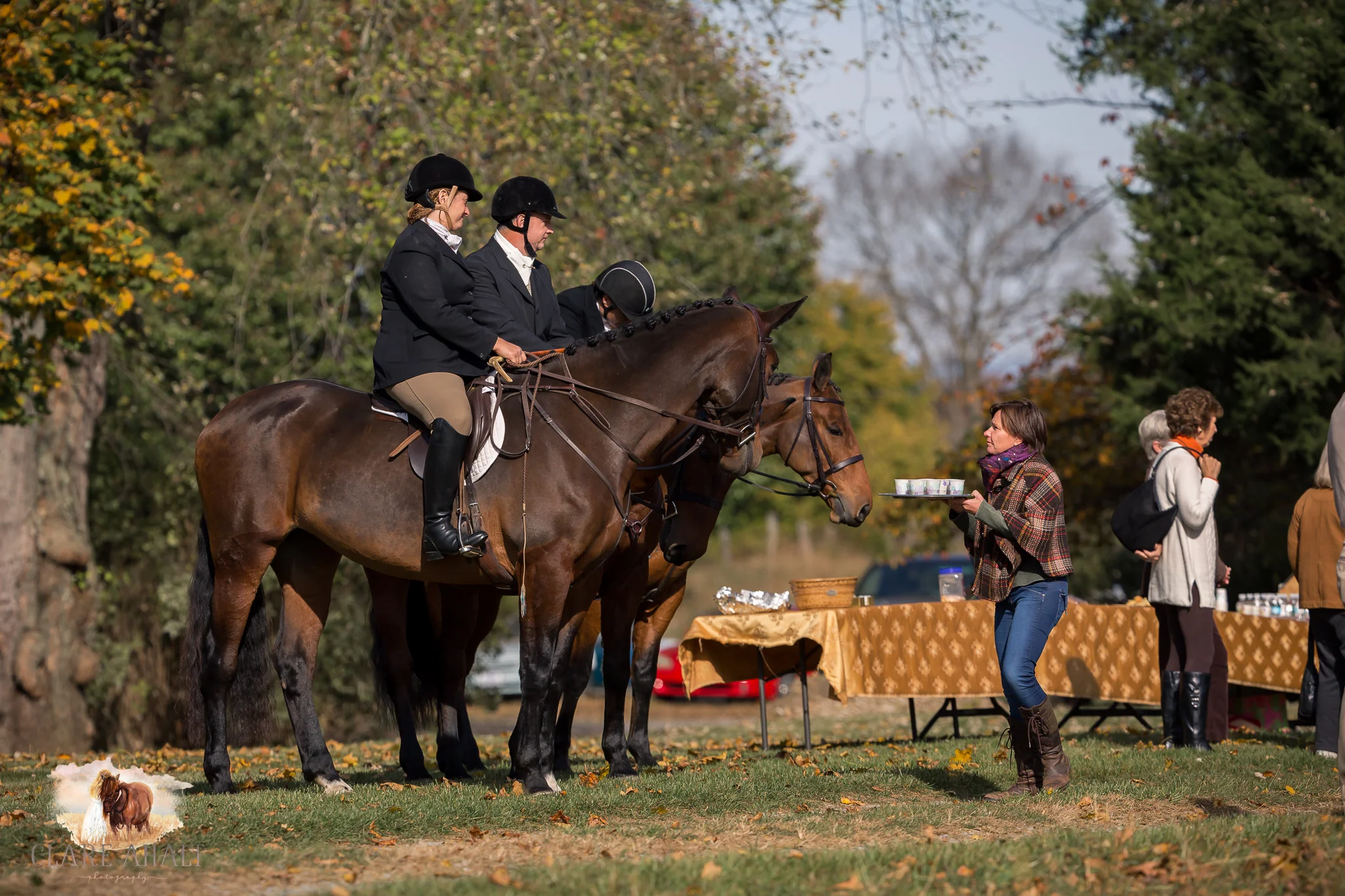 Best_Equestrian_Photographer_Maryland_equine_photographer_northern_virginia_equestrian_Photographer-9.jpg