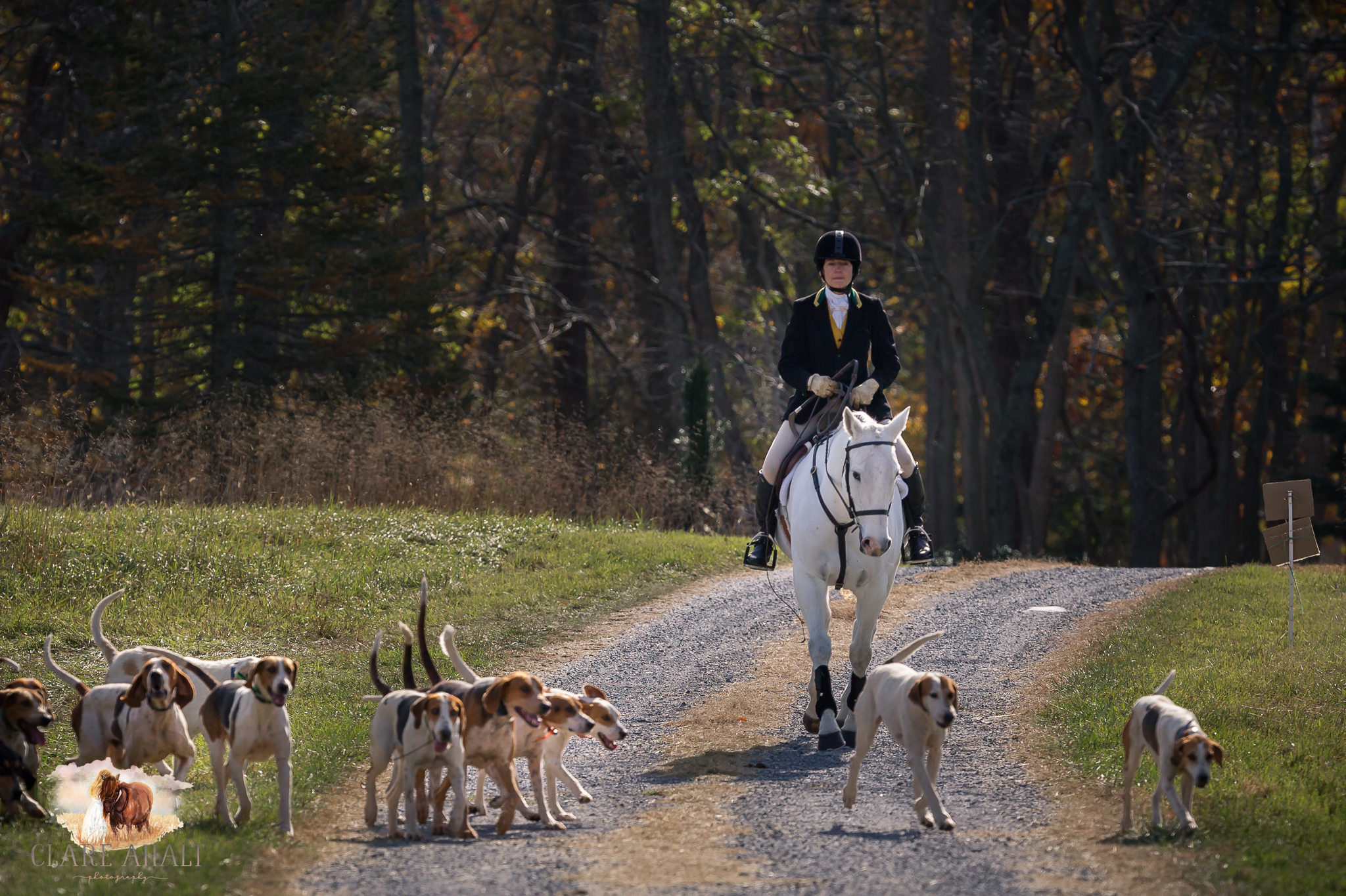 Best_Equestrian_Photographer_Maryland_equine_photographer_northern_virginia_equestrian_Photographer-16.jpg