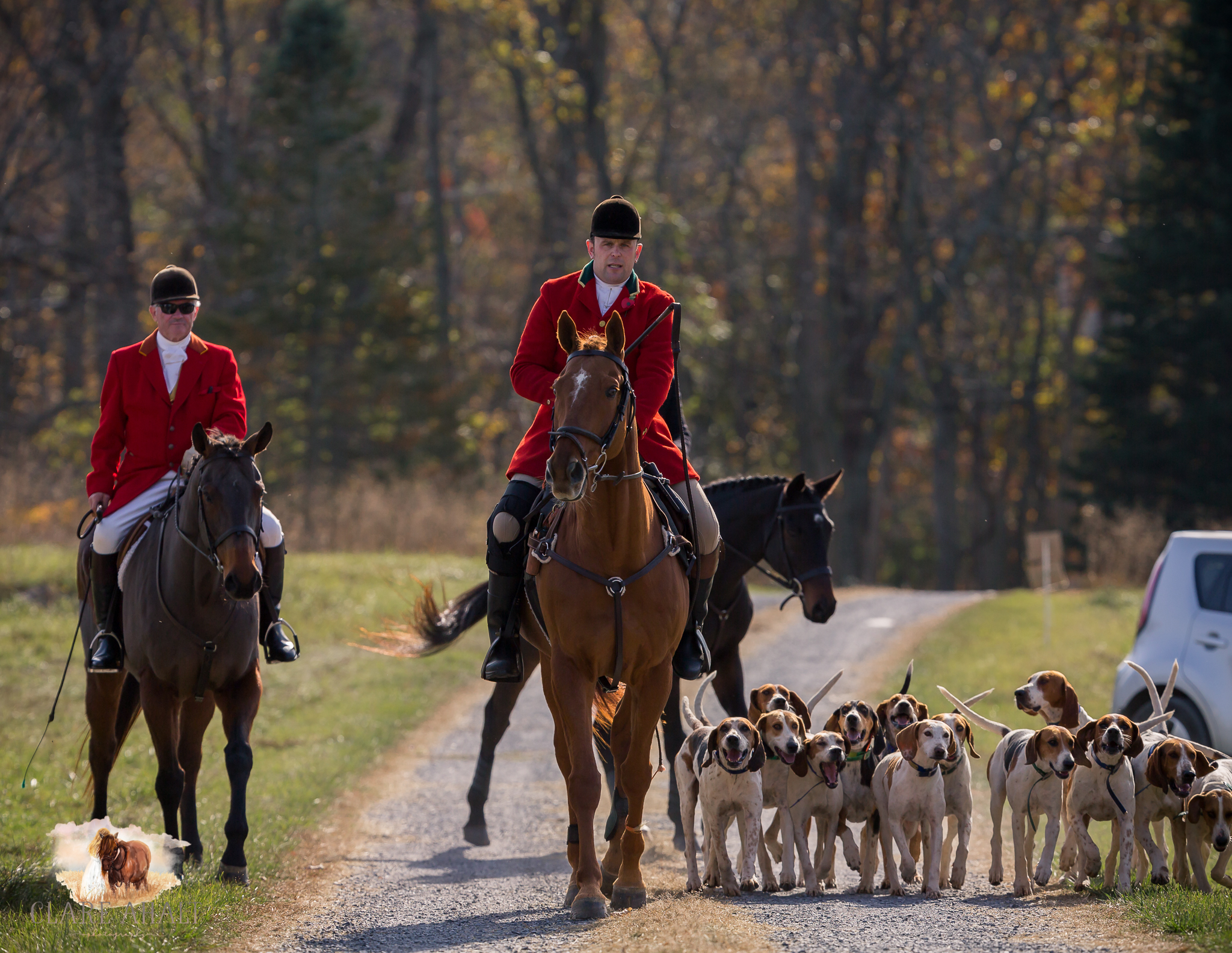 Best_Equestrian_Photographer_Maryland_equine_photographer_northern_virginia_equestrian_Photographer-23.jpg