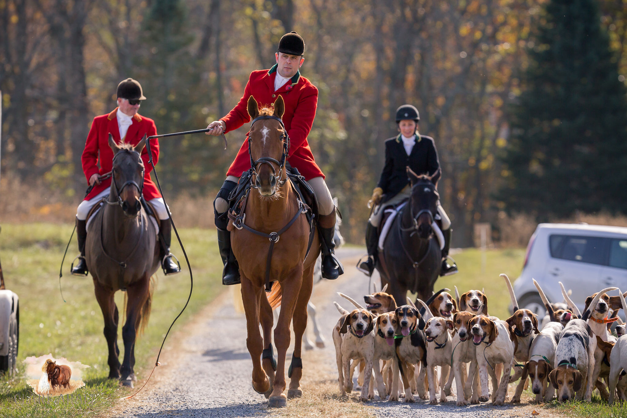 Best_Equestrian_Photographer_Maryland_equine_photographer_northern_virginia_equestrian_Photographer-24.jpg