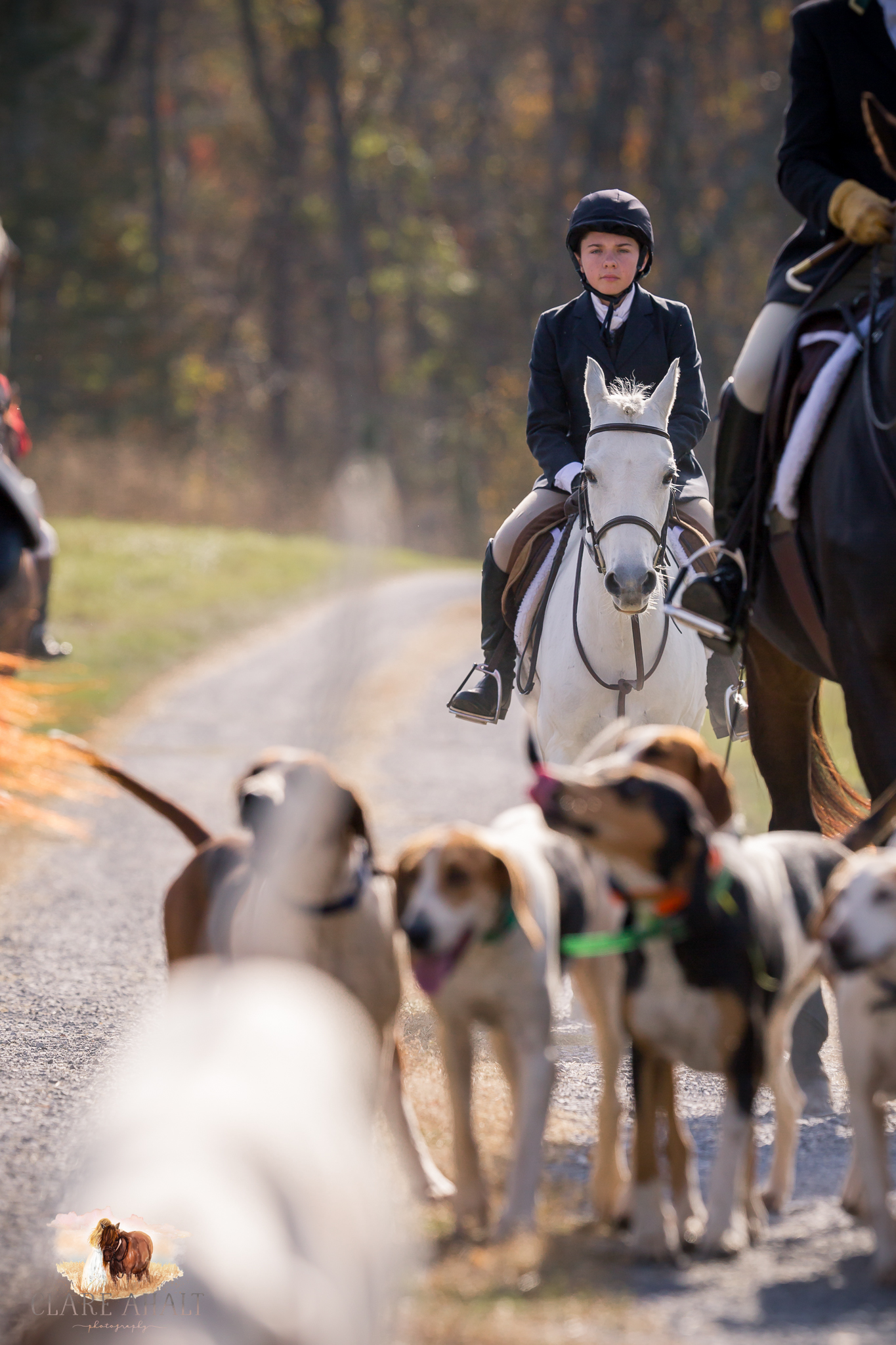 Best_Equestrian_Photographer_Maryland_equine_photographer_northern_virginia_equestrian_Photographer-26.jpg