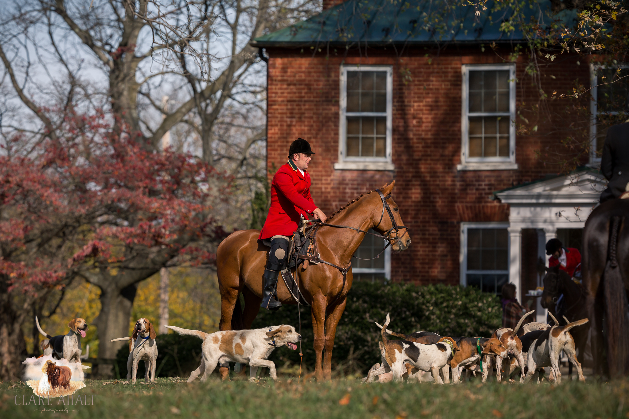 Best_Equestrian_Photographer_Maryland_equine_photographer_northern_virginia_equestrian_Photographer-30.jpg