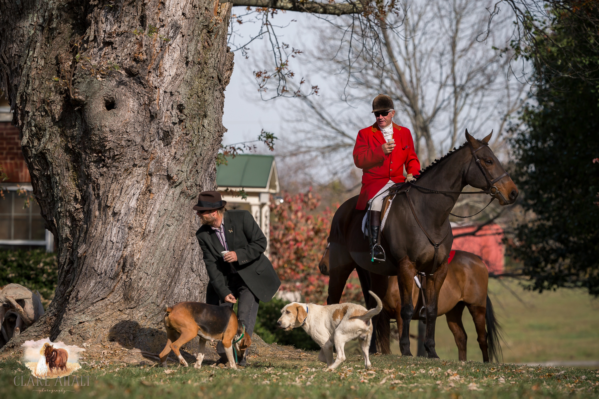 Best_Equestrian_Photographer_Maryland_equine_photographer_northern_virginia_equestrian_Photographer-31.jpg