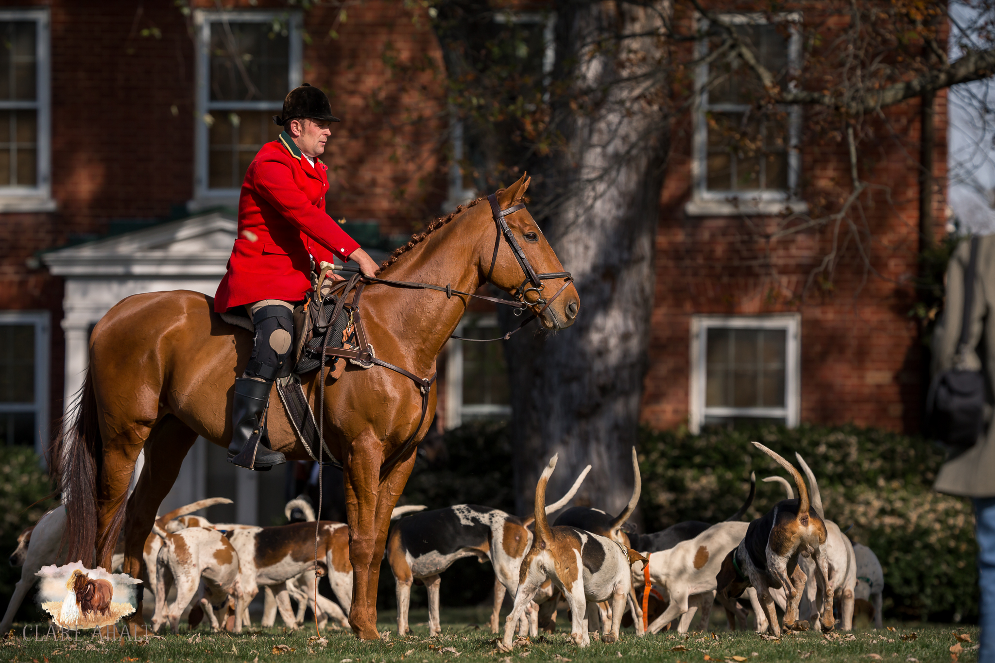 Best_Equestrian_Photographer_Maryland_equine_photographer_northern_virginia_equestrian_Photographer-33.jpg