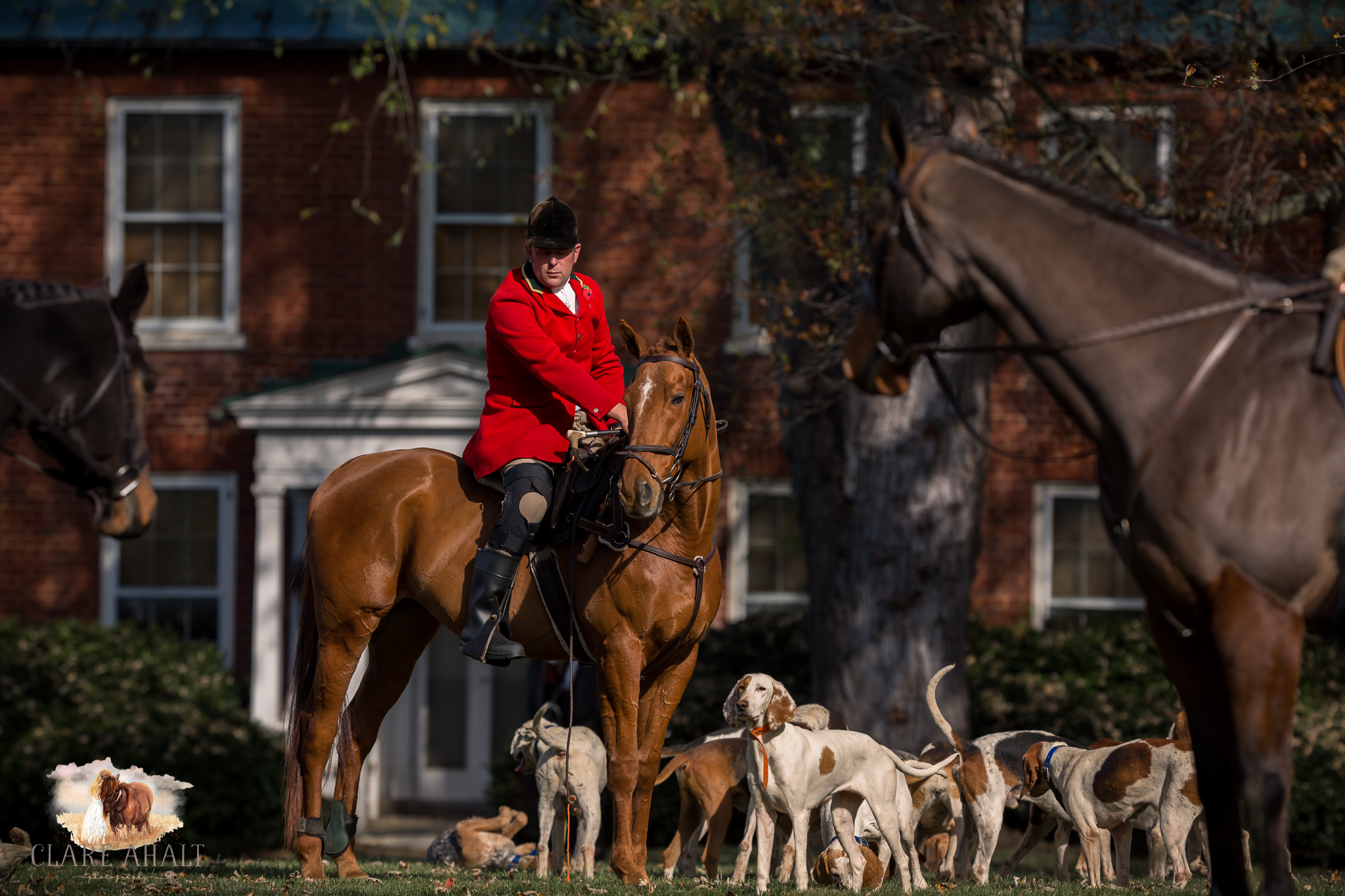 Best_Equestrian_Photographer_Maryland_equine_photographer_northern_virginia_equestrian_Photographer-36.jpg