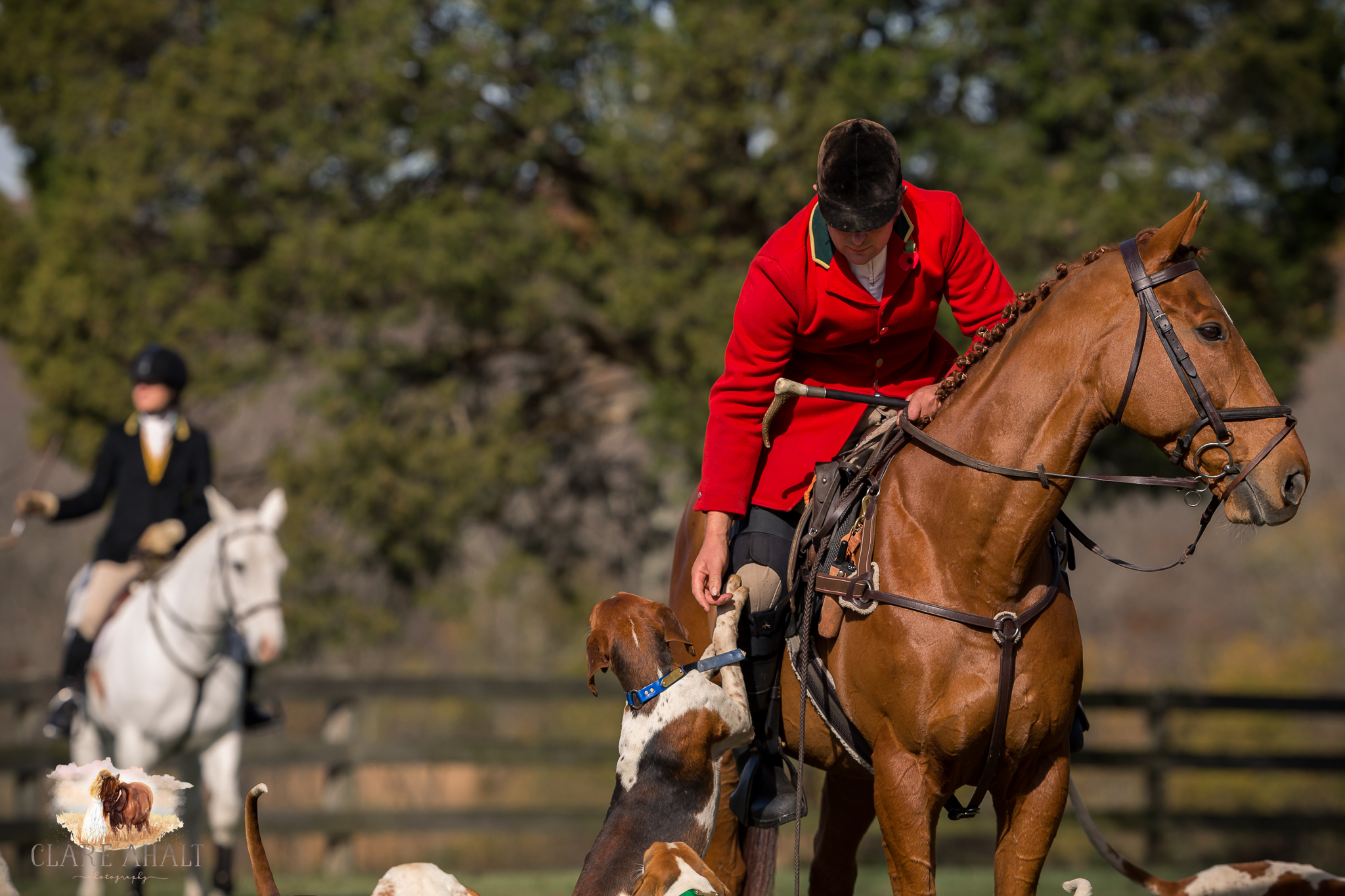 Best_Equestrian_Photographer_Maryland_equine_photographer_northern_virginia_equestrian_Photographer-41.jpg