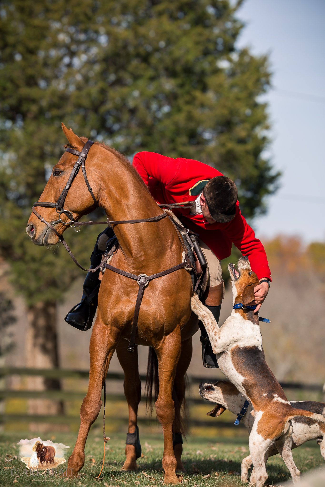 Best_Equestrian_Photographer_Maryland_equine_photographer_northern_virginia_equestrian_Photographer-47.jpg