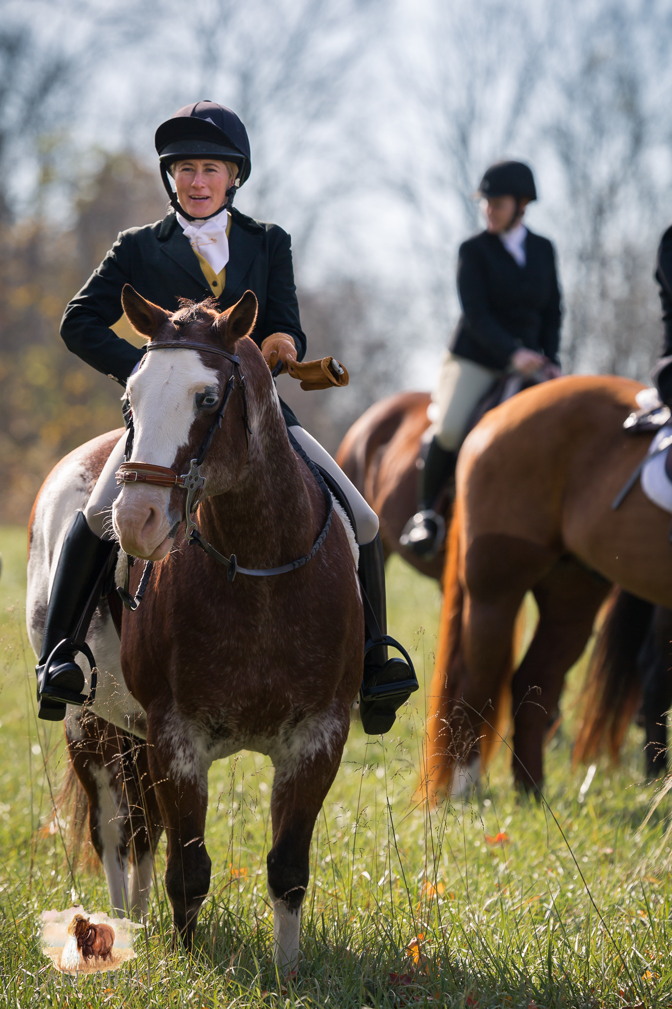 Best_Equestrian_Photographer_Maryland_equine_photographer_northern_virginia_equestrian_Photographer-50.jpg