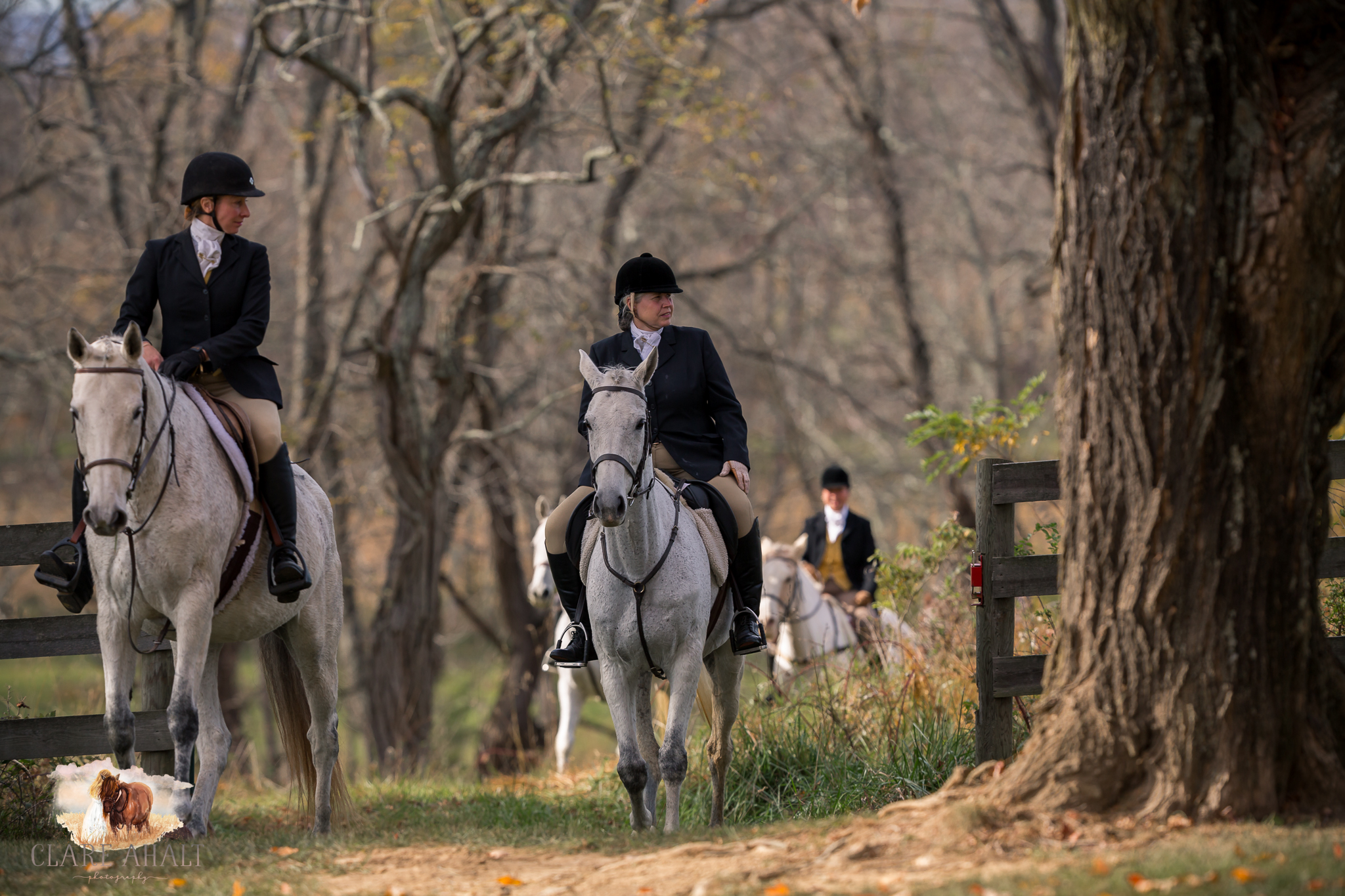 Best_Equestrian_Photographer_Maryland_equine_photographer_northern_virginia_equestrian_Photographer-69.jpg