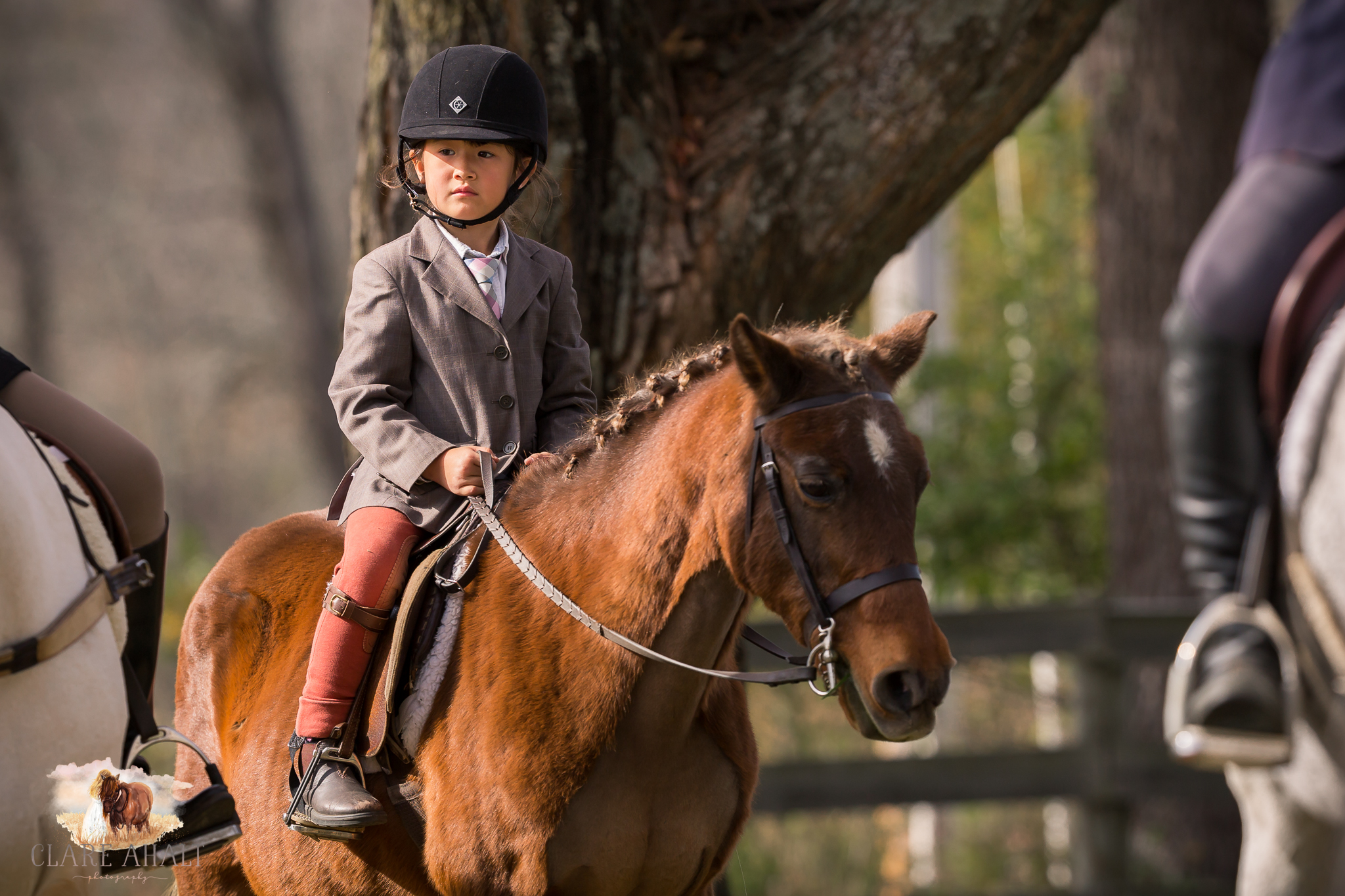 Best_Equestrian_Photographer_Maryland_equine_photographer_northern_virginia_equestrian_Photographer-76.jpg