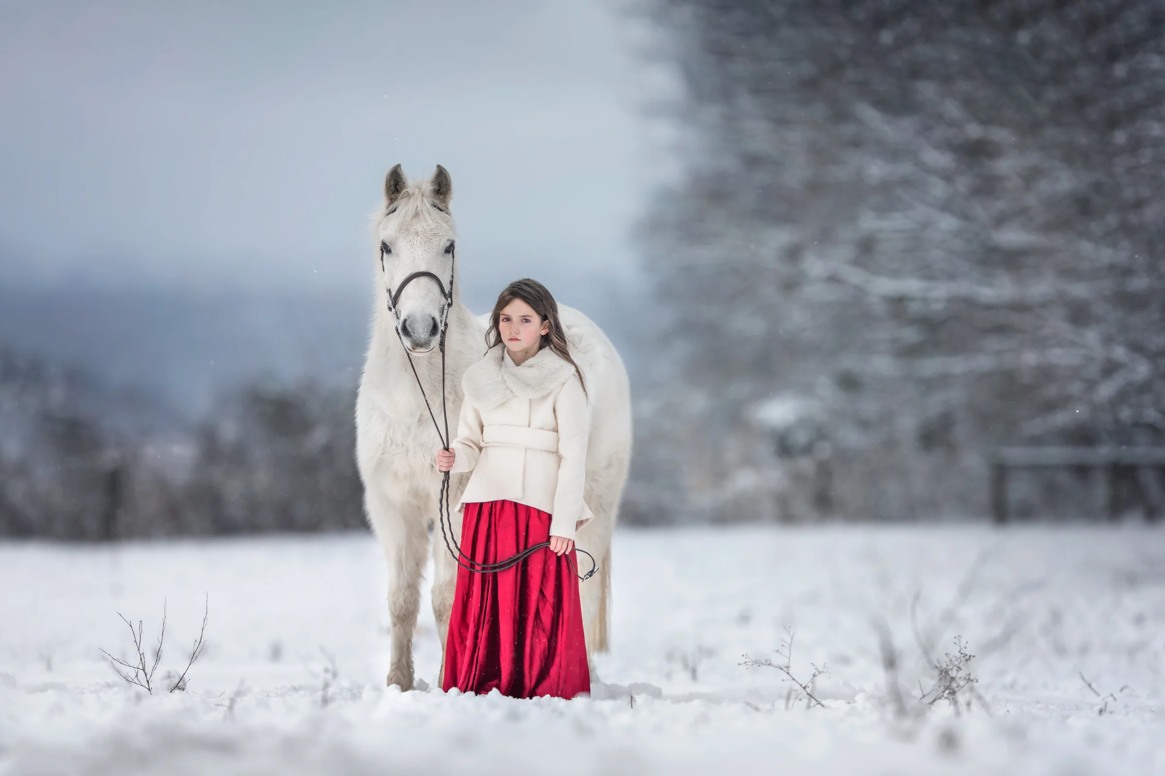 equine_photographer_middleburg_va_best_equine_photographer_poolesville_MD.jpg