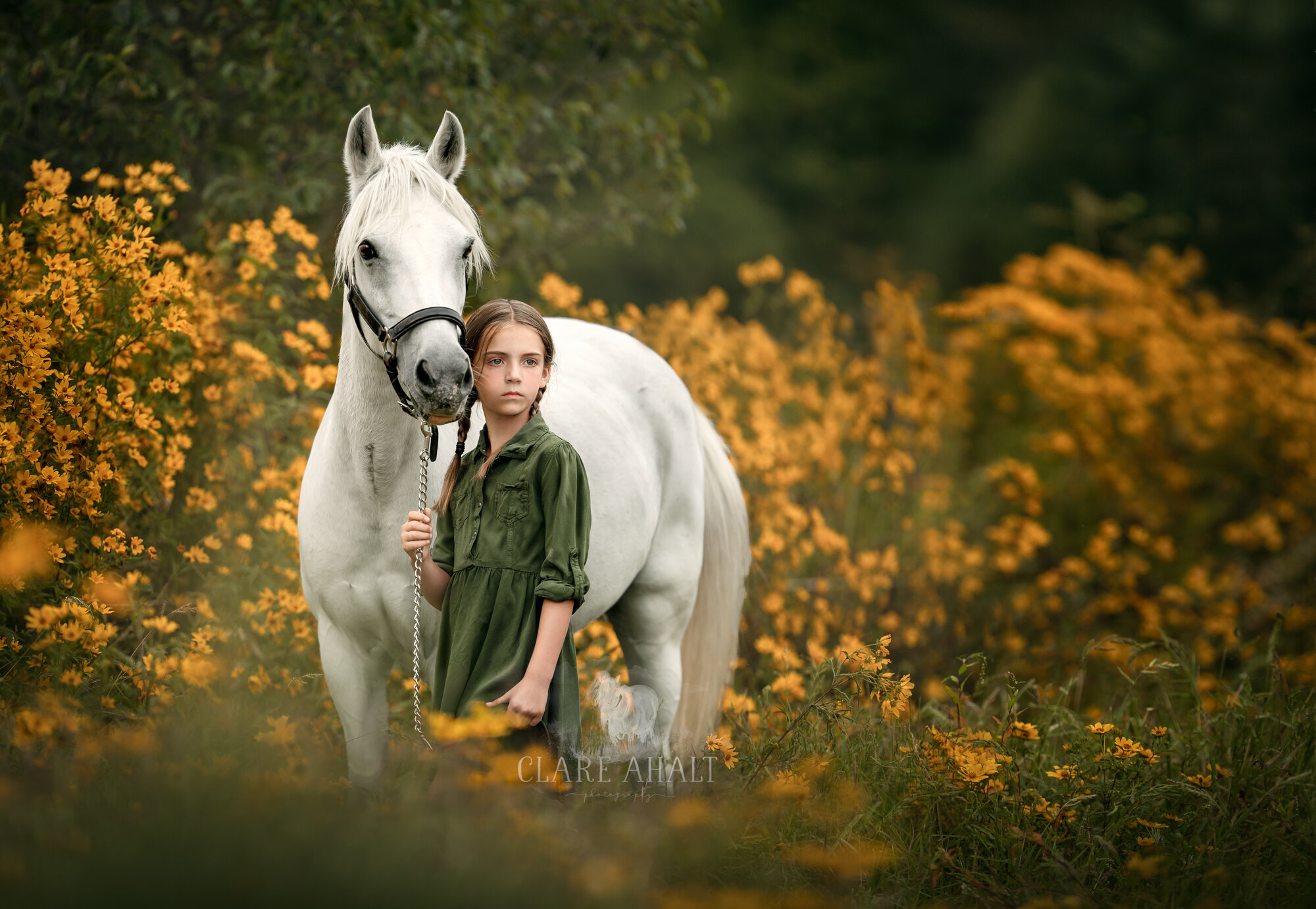 equine_portrait_photography_potomac_MD_equine_photographer_middleburg_VA-1.jpg