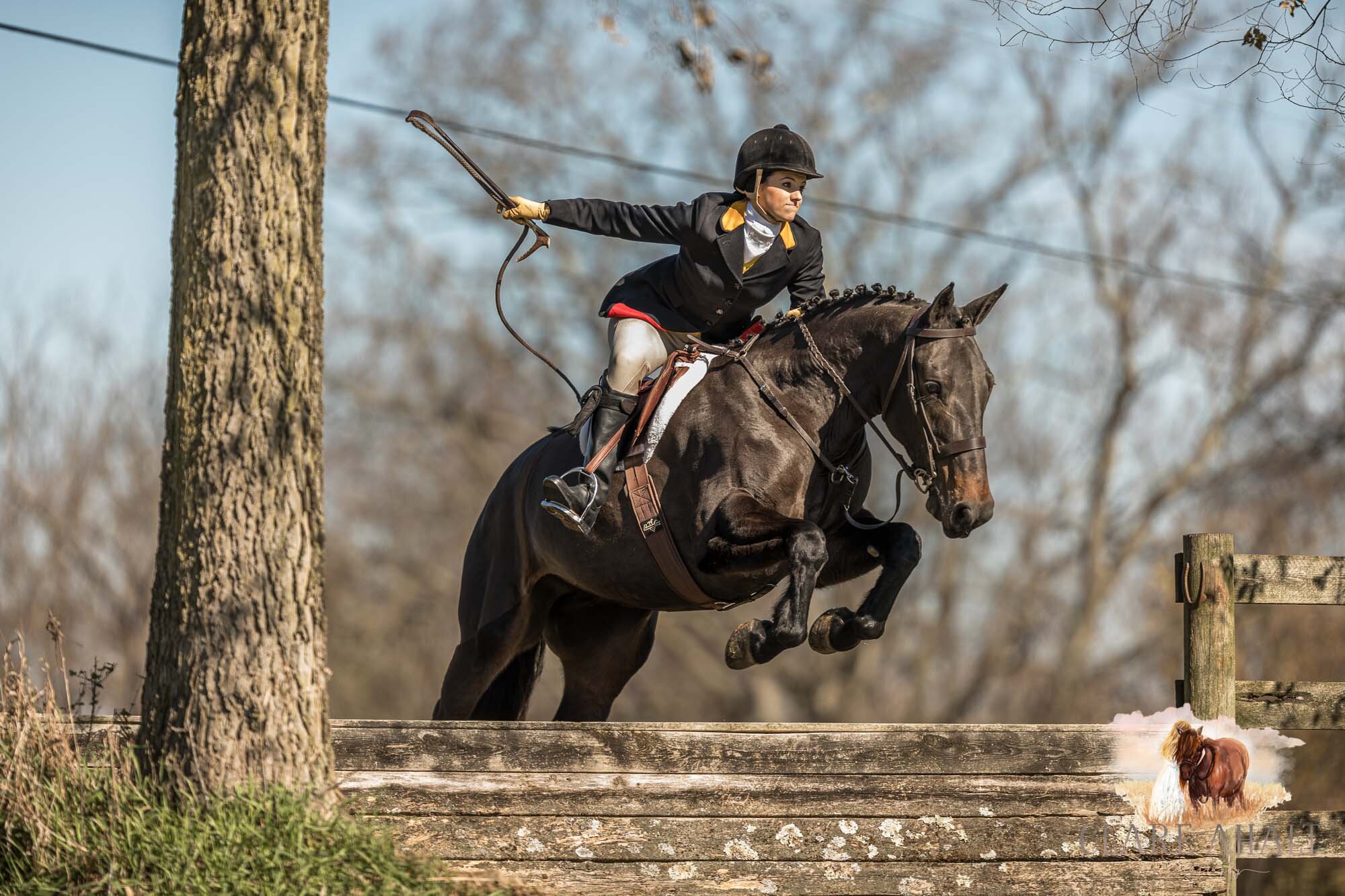 equine_photographer_potomac_md_equine_photographer_middleburg_VA_equine_portraiture_loudon_county_VA-1121.jpg