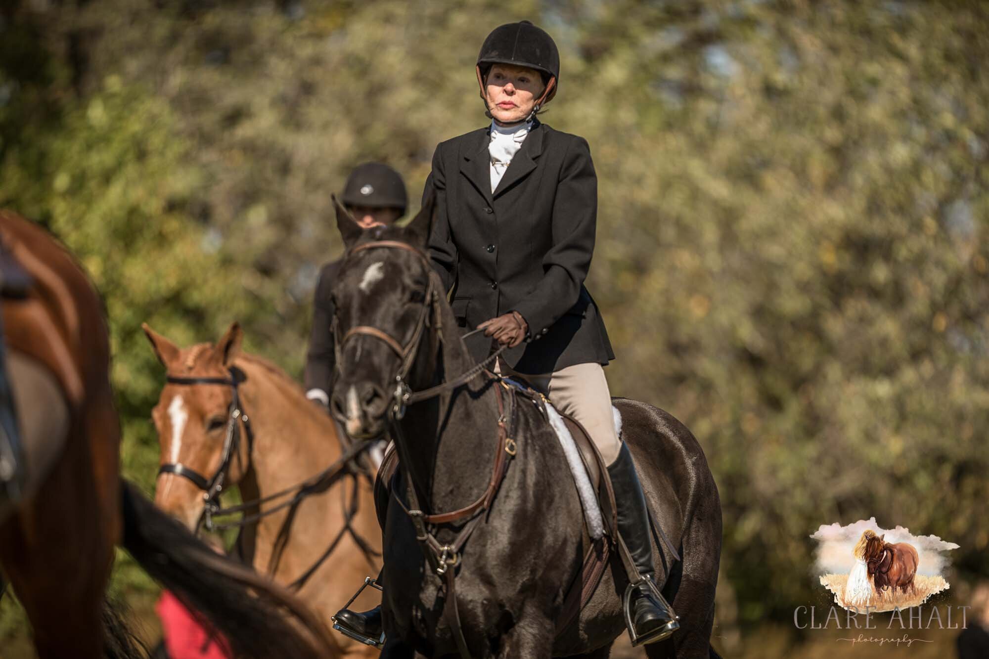 equine_photographer_potomac_md_equine_photographer_middleburg_VA_equine_portraiture_loudon_county_VA-1136.jpg