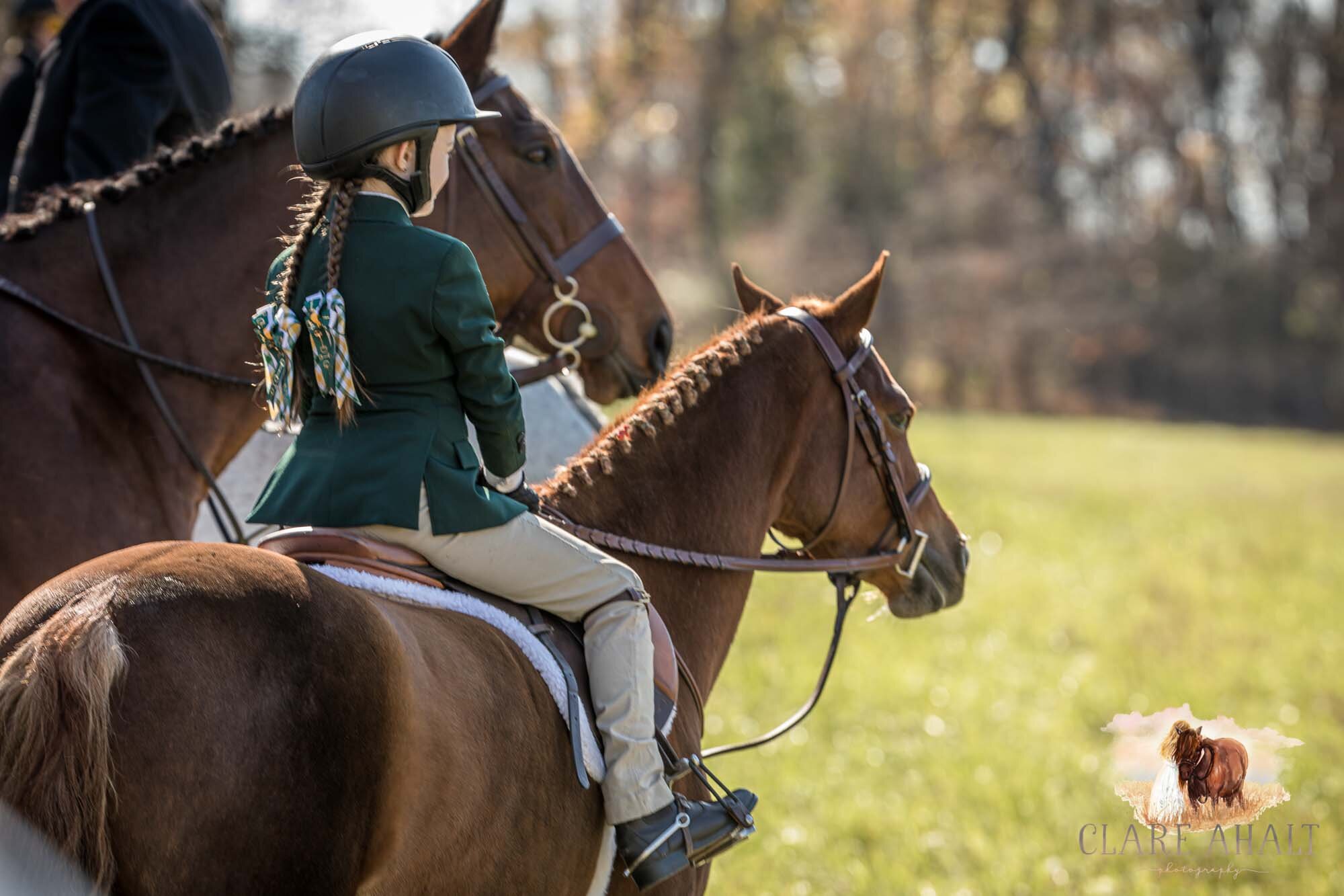 equine_photographer_potomac_md_equine_photographer_middleburg_VA_equine_portraiture_loudon_county_VA-1199.jpg