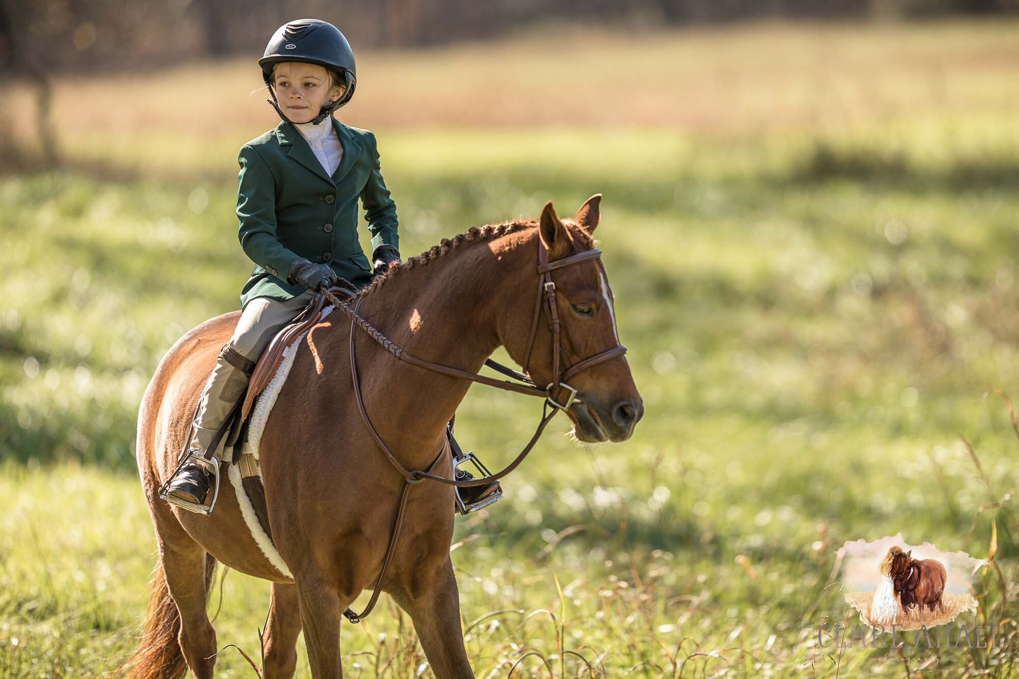 equine_photographer_potomac_md_equine_photographer_middleburg_VA_equine_portraiture_loudon_county_VA-1215.jpg