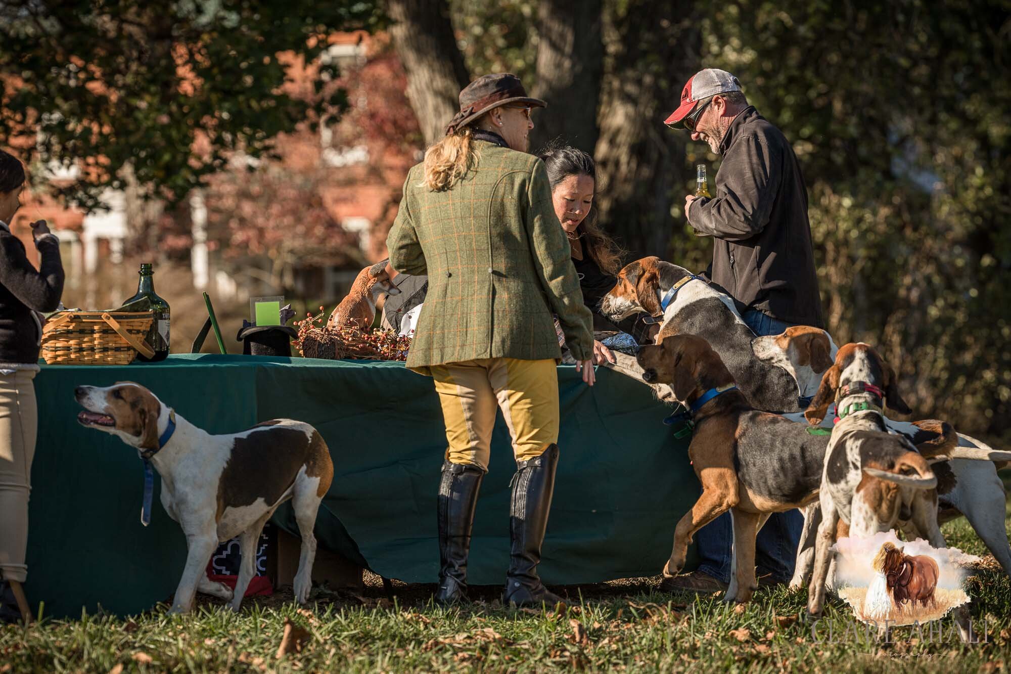 equine_photographer_potomac_md_equine_photographer_middleburg_VA_equine_portraiture_loudon_county_VA-1297.jpg