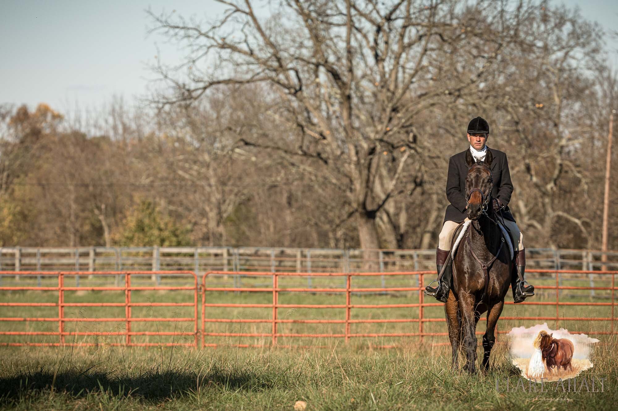 equine_photographer_potomac_md_equine_photographer_middleburg_VA_equine_portraiture_loudon_county_VA-1300.jpg