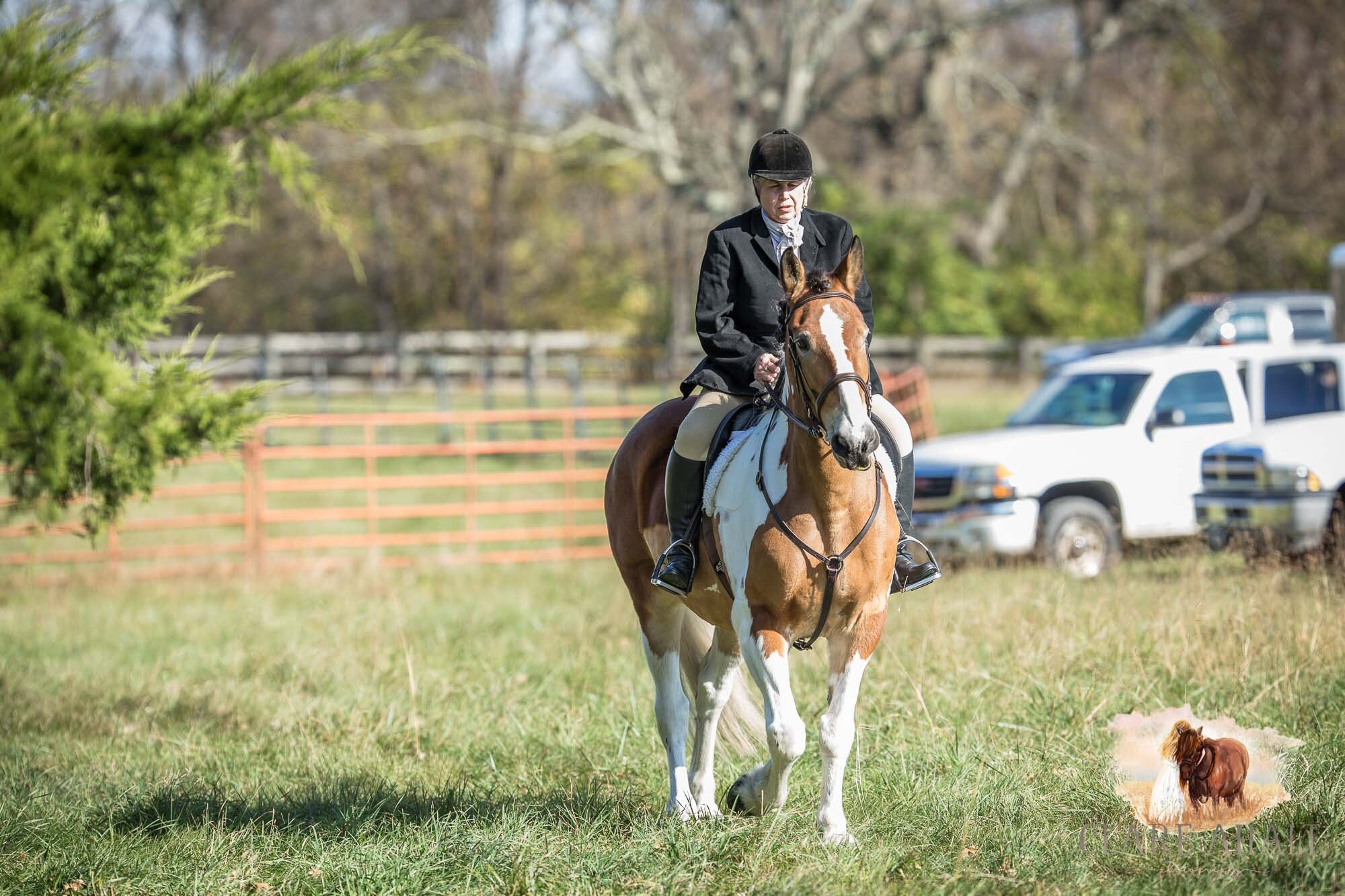 equine_photographer_potomac_md_equine_photographer_middleburg_VA_equine_portraiture_loudon_county_VA-2809.jpg