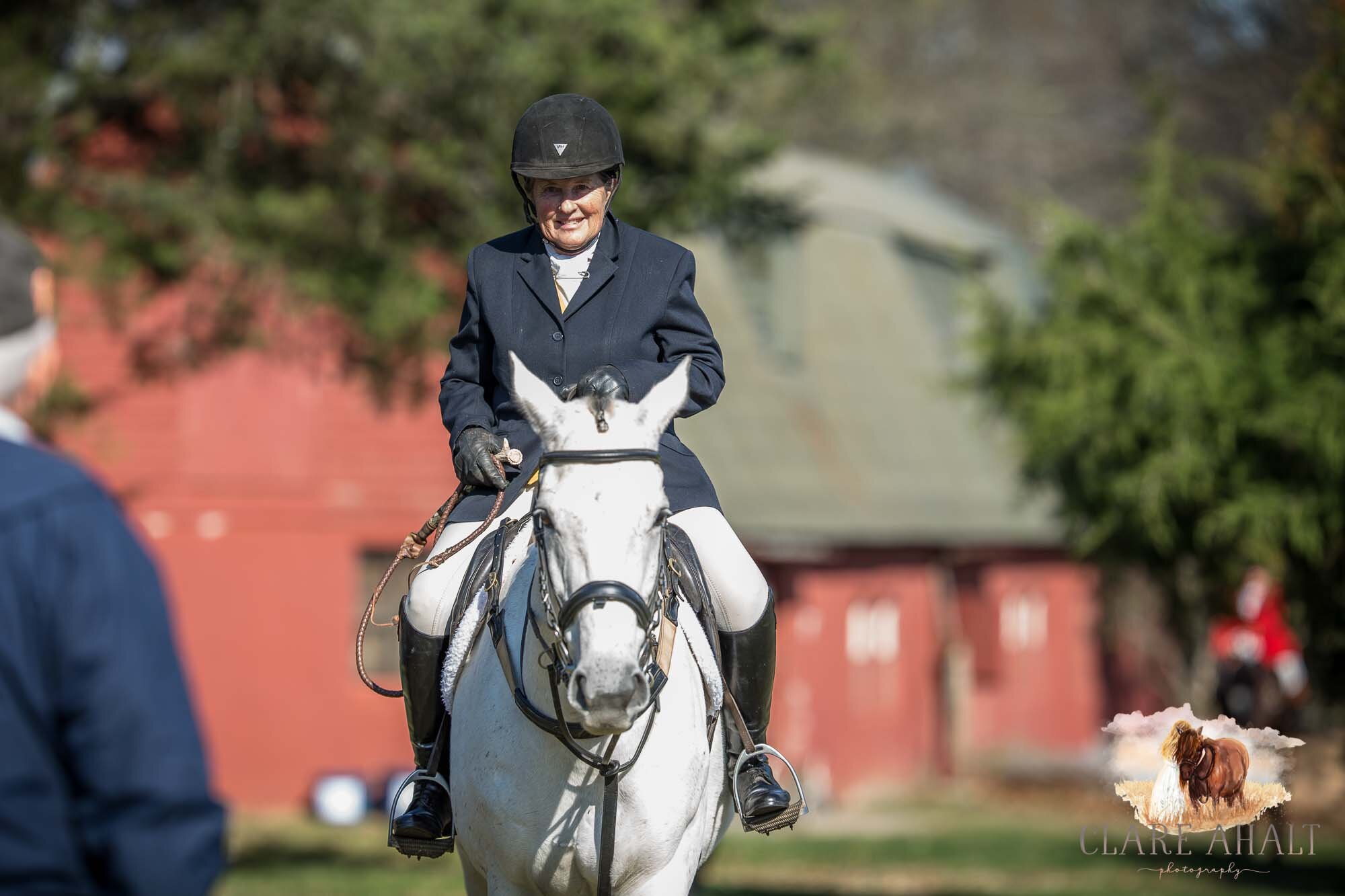 equine_photographer_potomac_md_equine_photographer_middleburg_VA_equine_portraiture_loudon_county_VA-2826.jpg