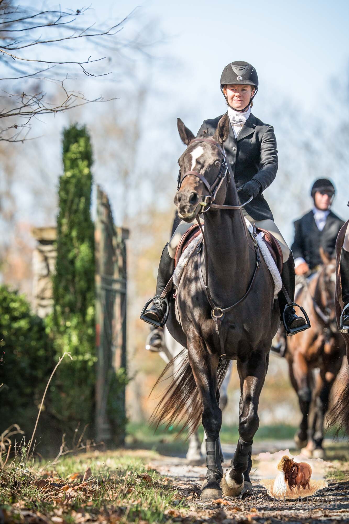 equine_photographer_potomac_md_equine_photographer_middleburg_VA_equine_portraiture_loudon_county_VA-2983.jpg