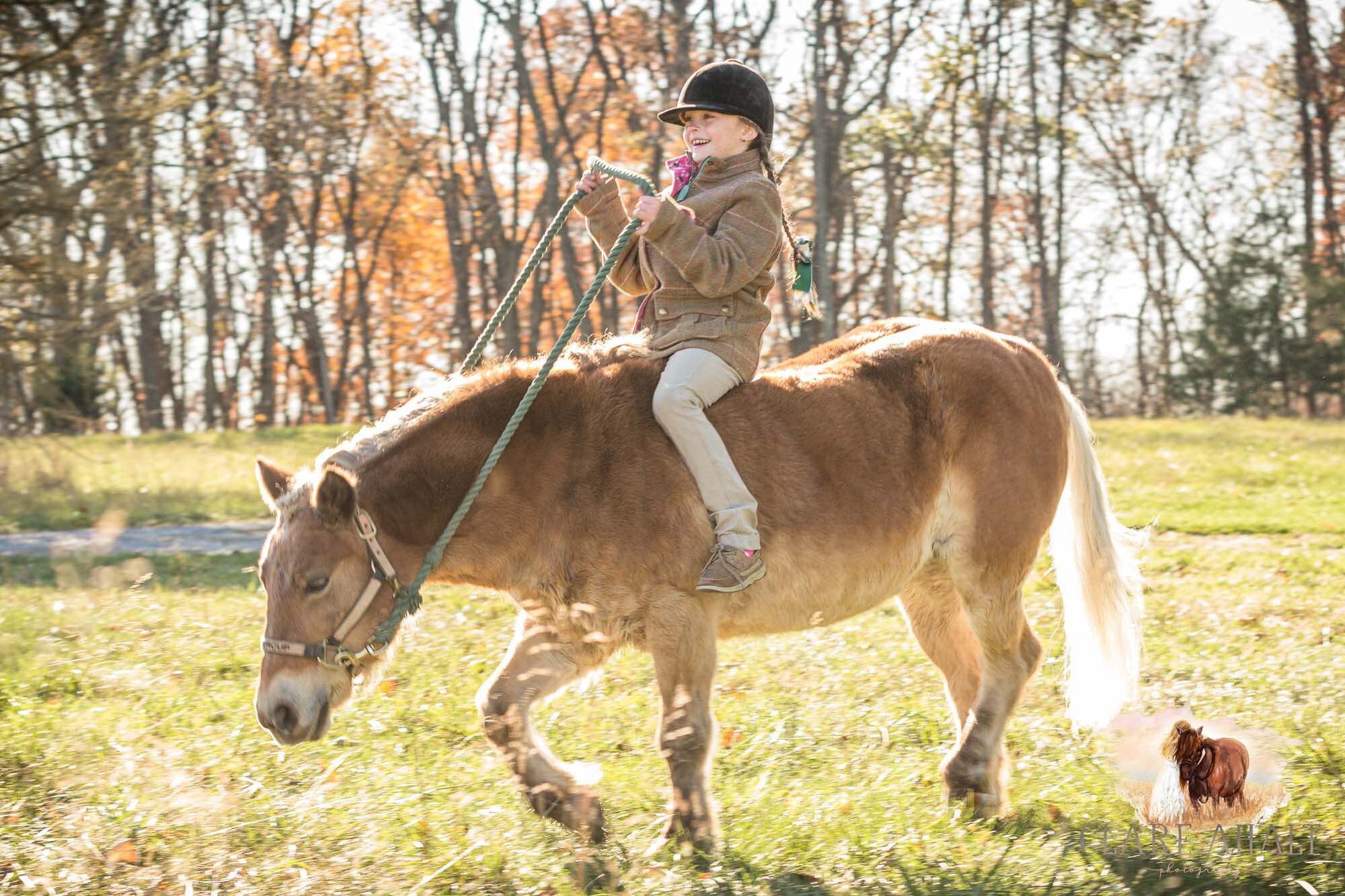 equine_photographer_potomac_md_equine_photographer_middleburg_VA_equine_portraiture_loudon_county_VA-9968.jpg