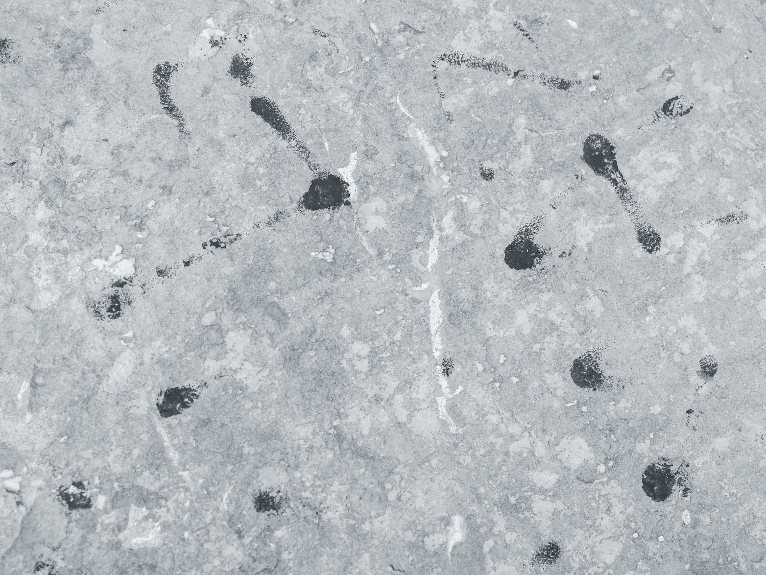 CF037233.jpg