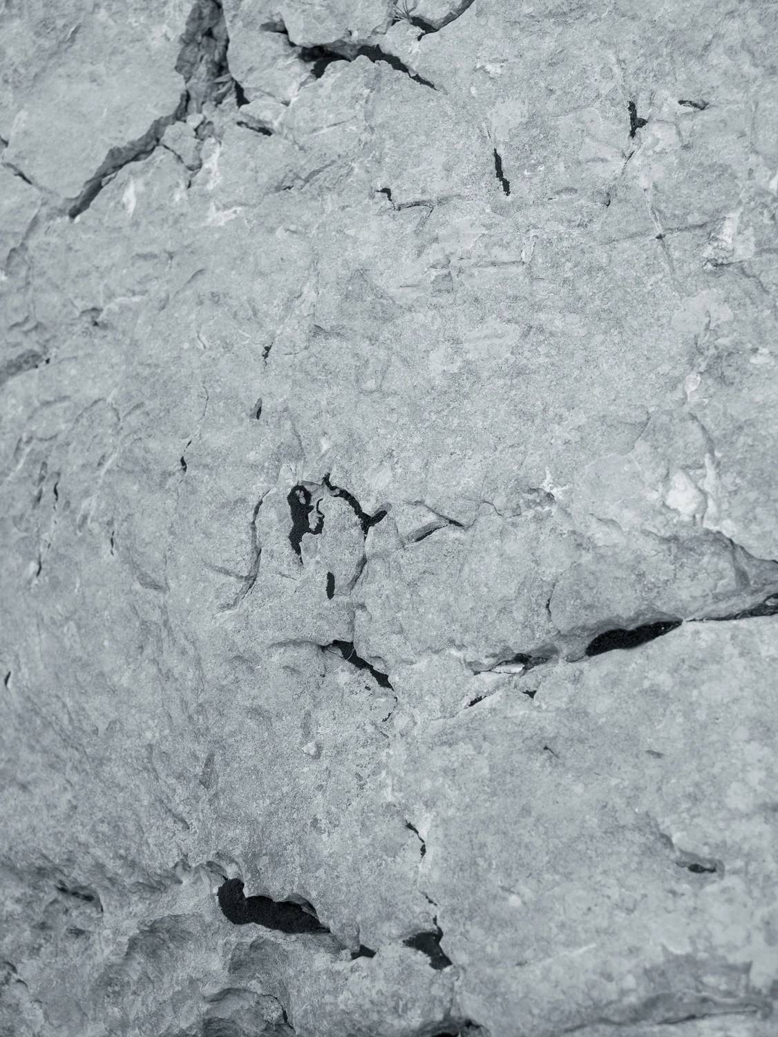 CF037236.jpg