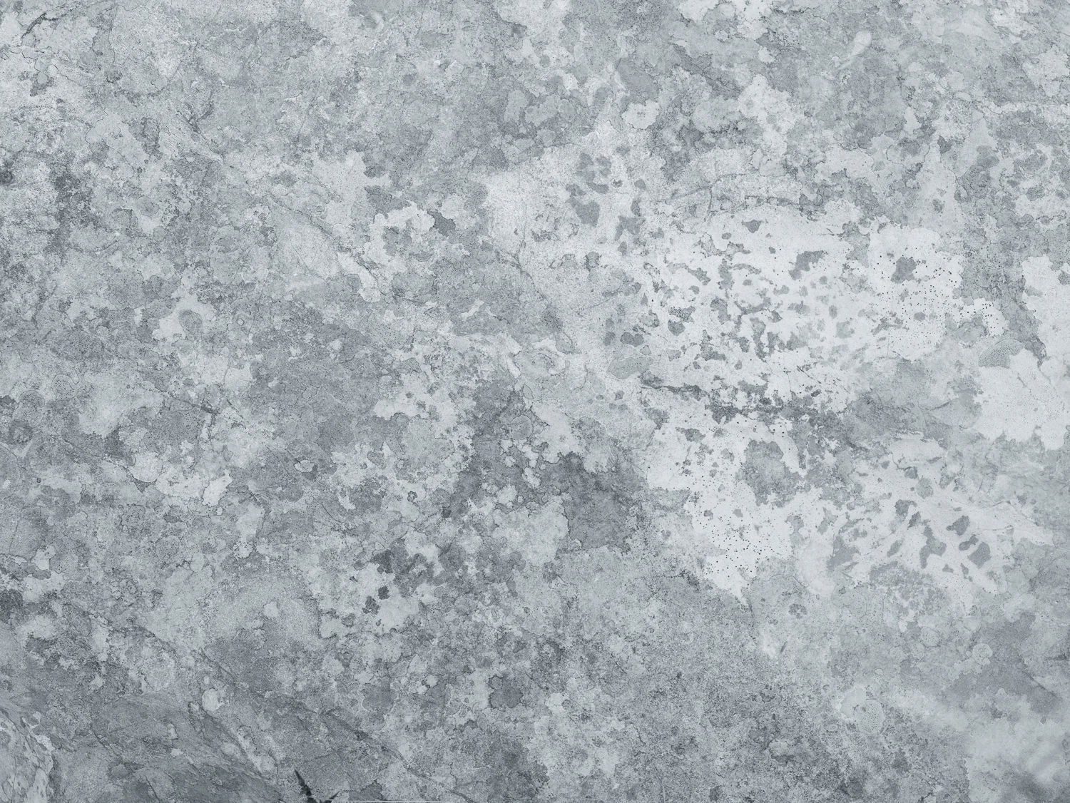 CF037272.jpg