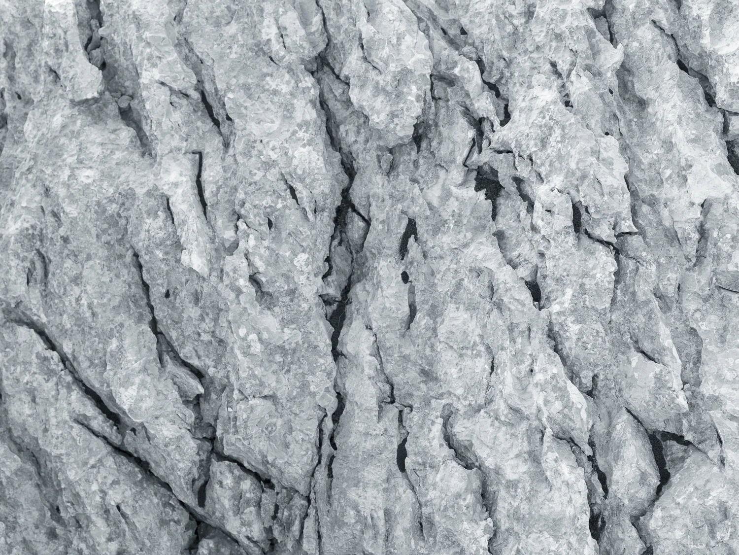 CF037328.jpg