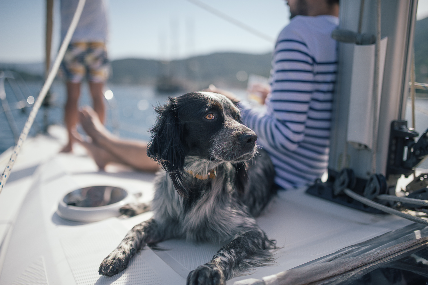 A black and white dog lying on the deck of a sailboat, with a person in a striped shirt sitting nearby, and another person standing with their legs visible in the background, all on a boat in a water setting with mountains in the distance.