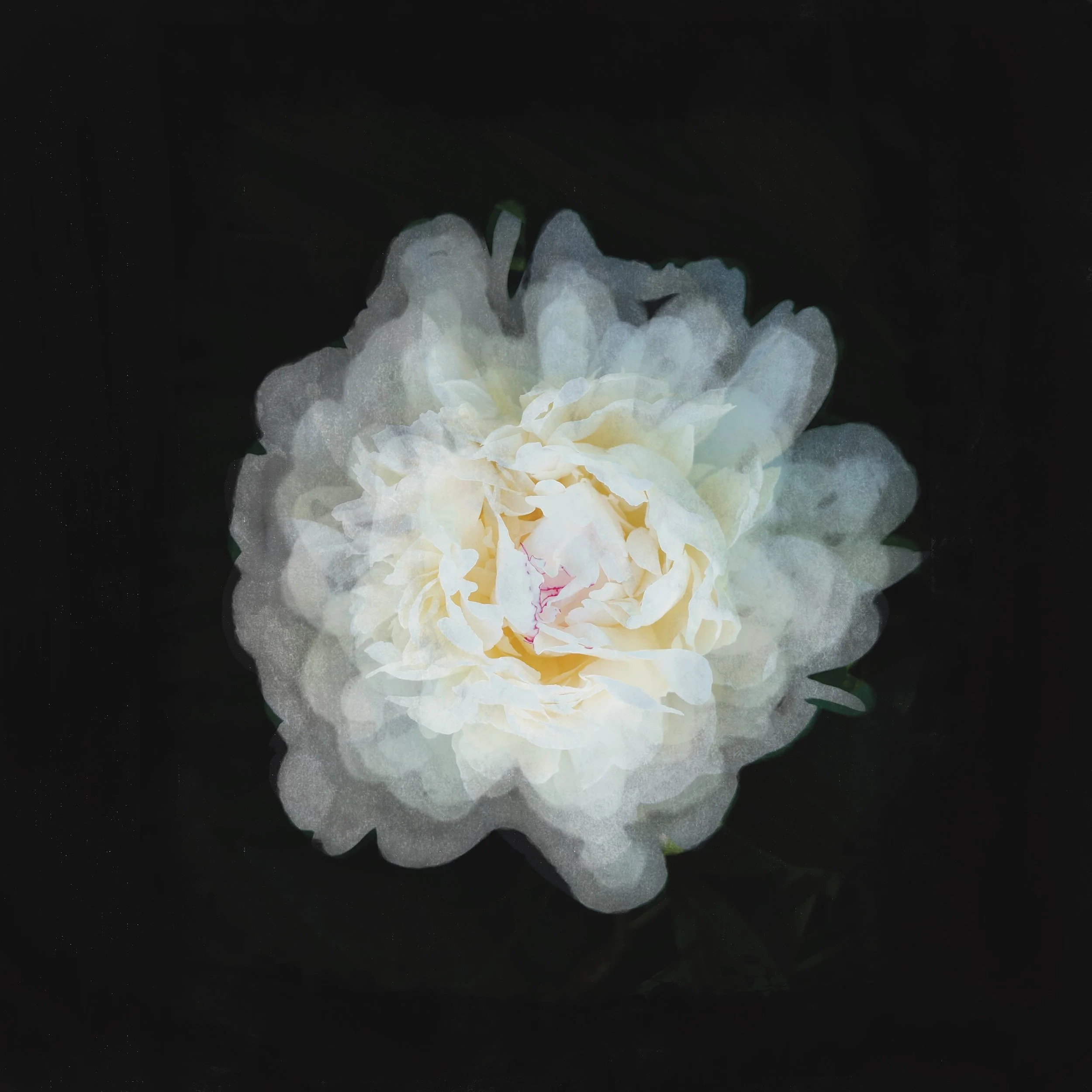 Untitled Artwork (8).jpeg