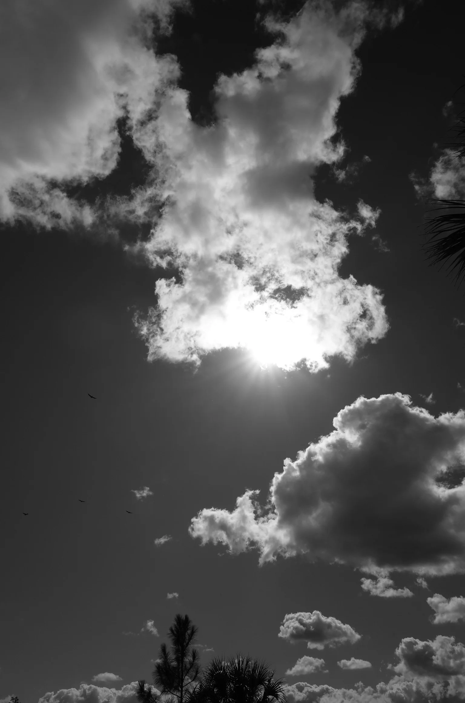 IMG_5760.jpg
