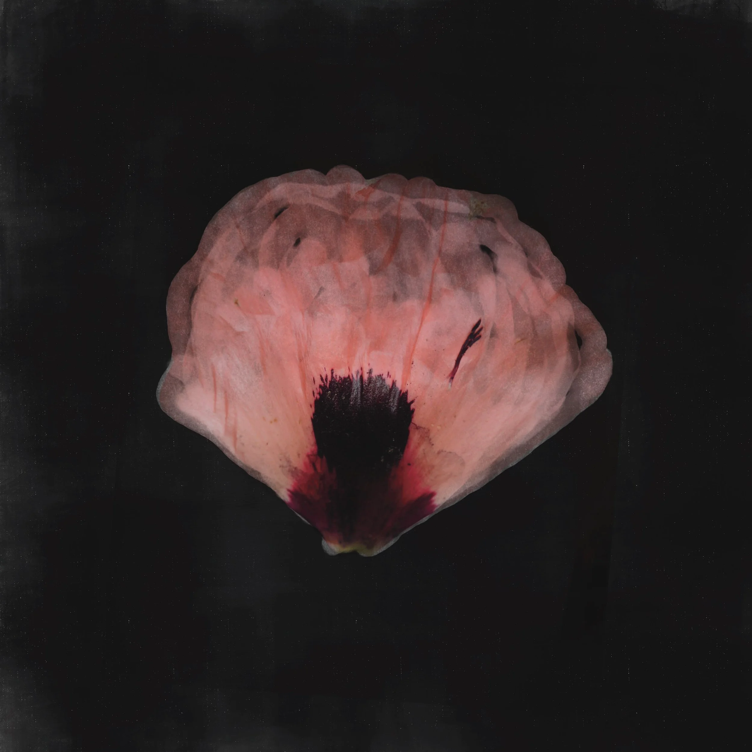 Untitled Artwork (12).jpeg