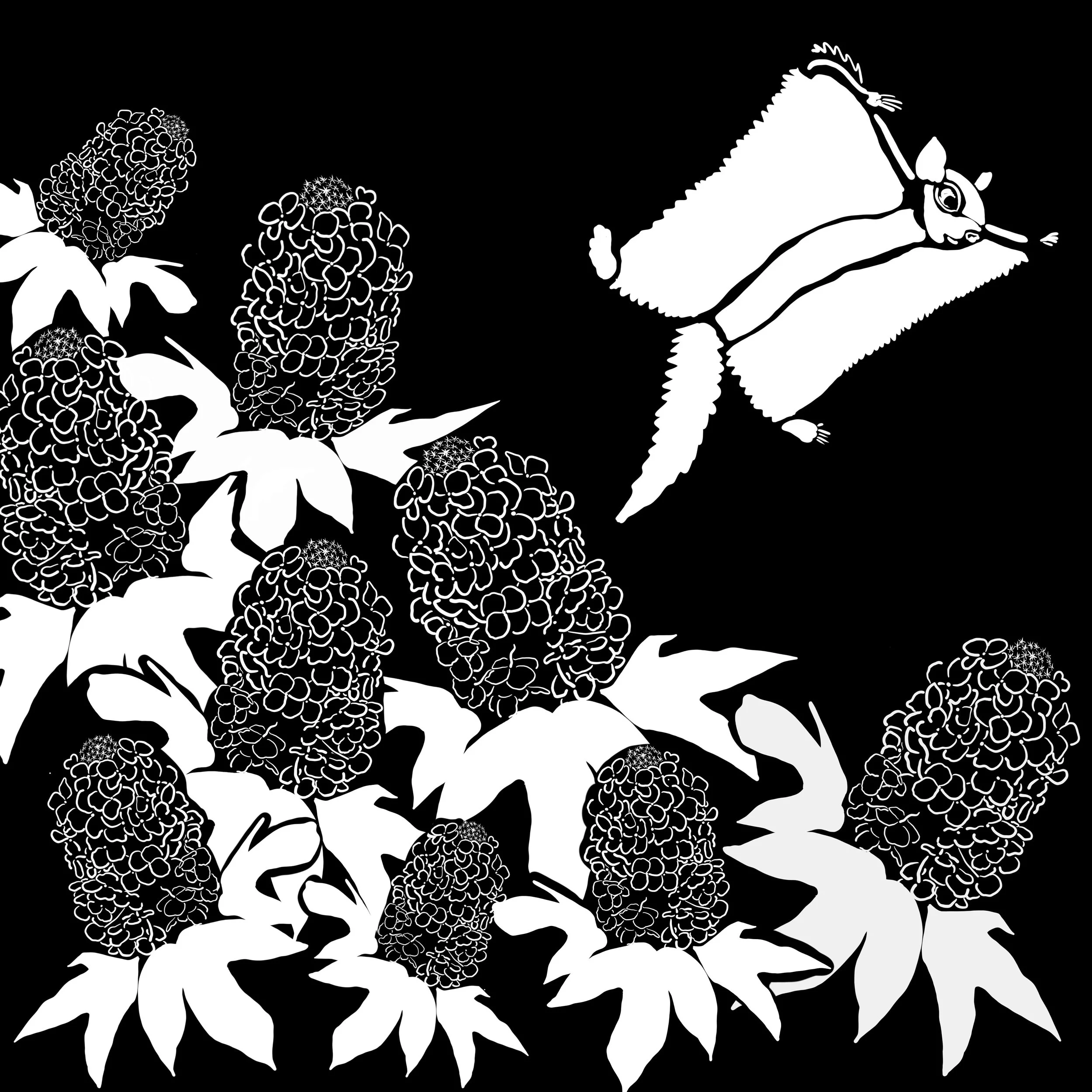 THe Garden of Delight - 1 of 3.jpeg