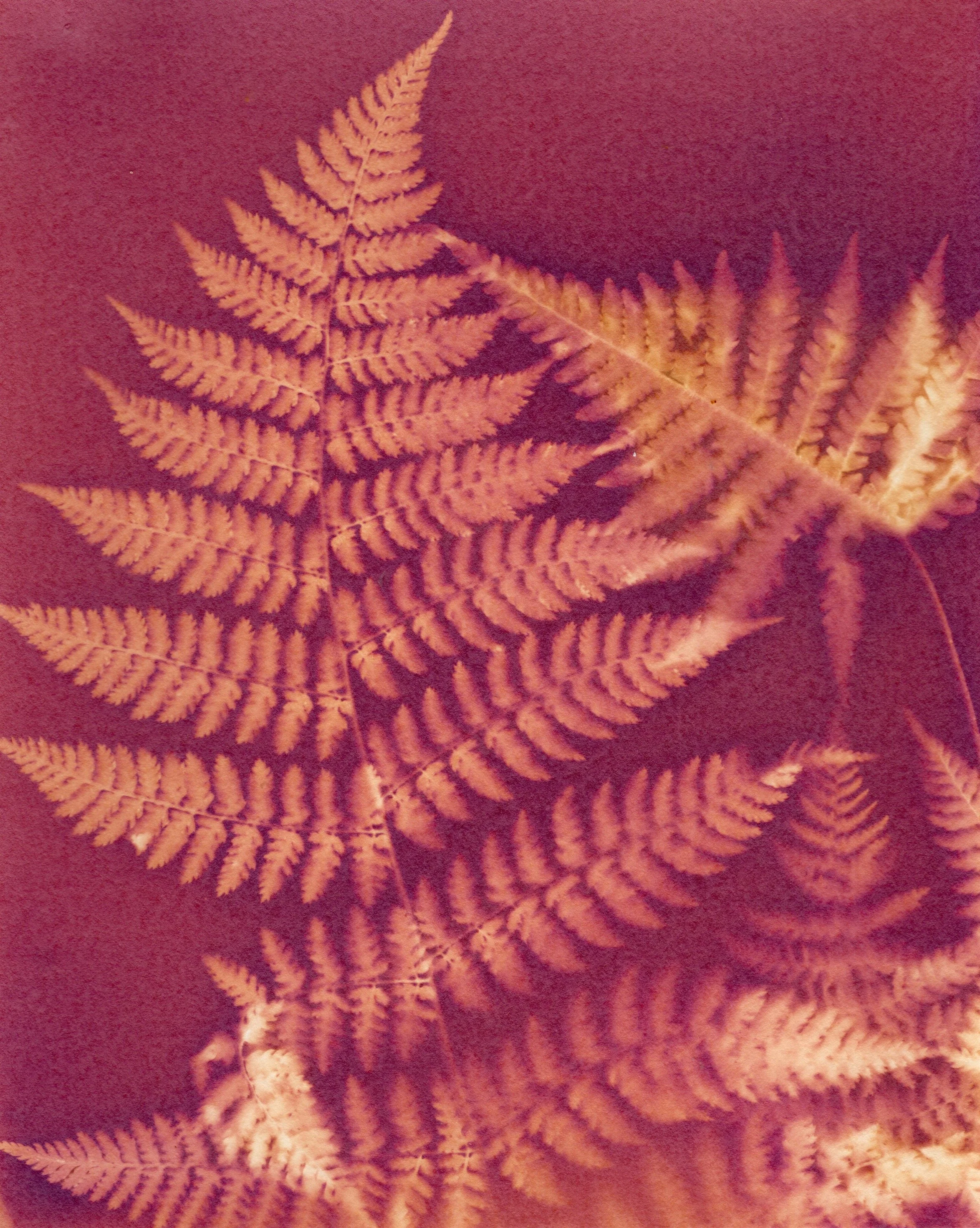 Across Multiple Papers - 1 of 10.jpeg