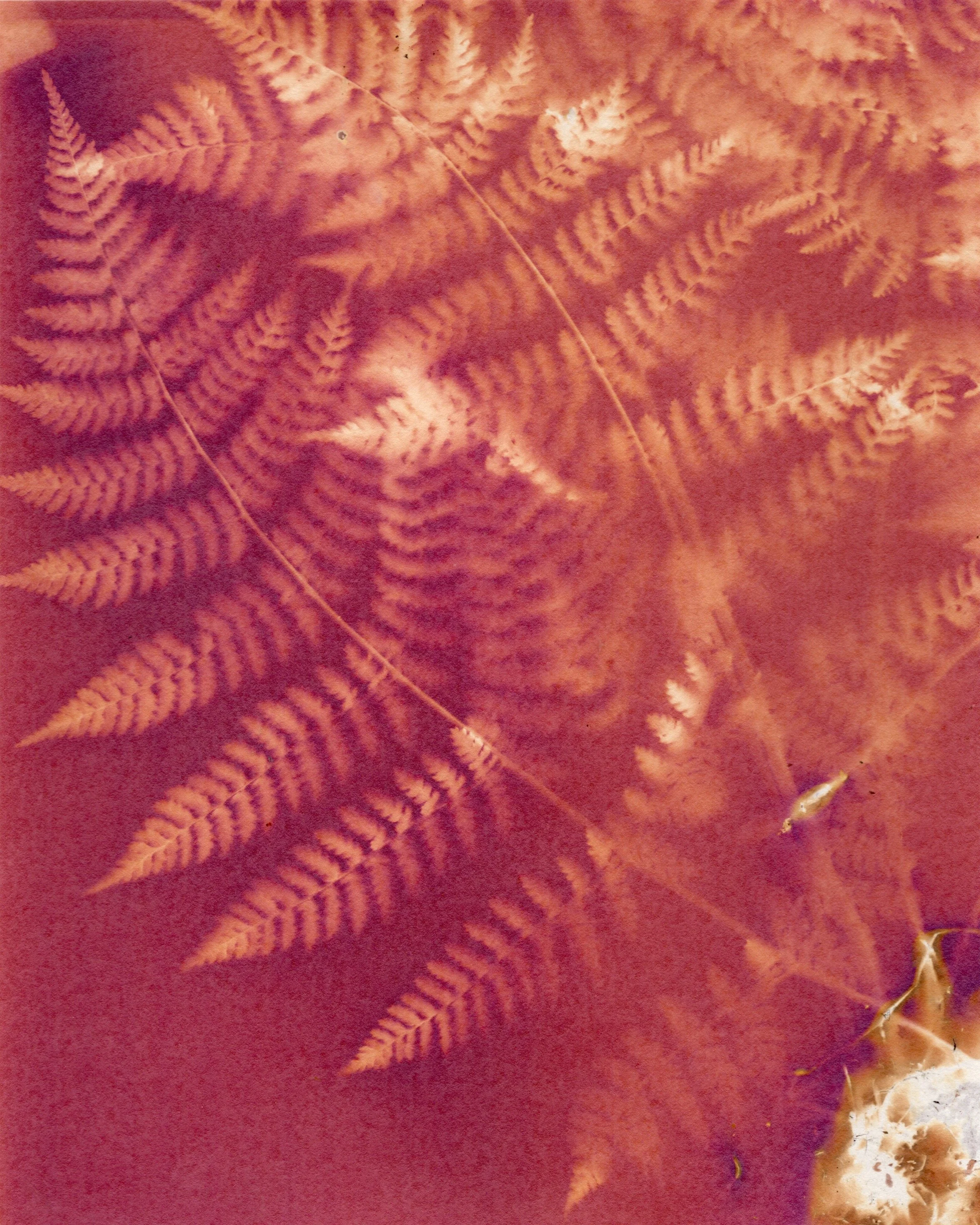 Across Multiple Papers - 2 of 10.jpeg