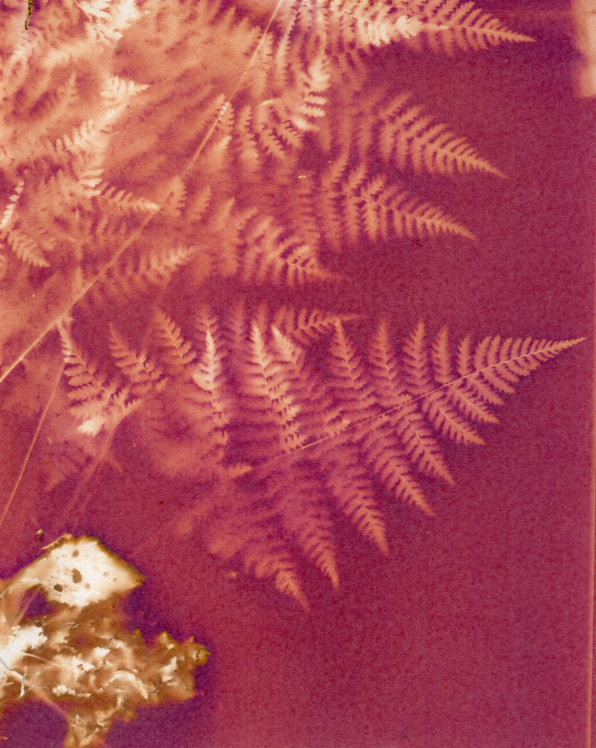 Across Multiple Papers - 3 of 10.jpeg