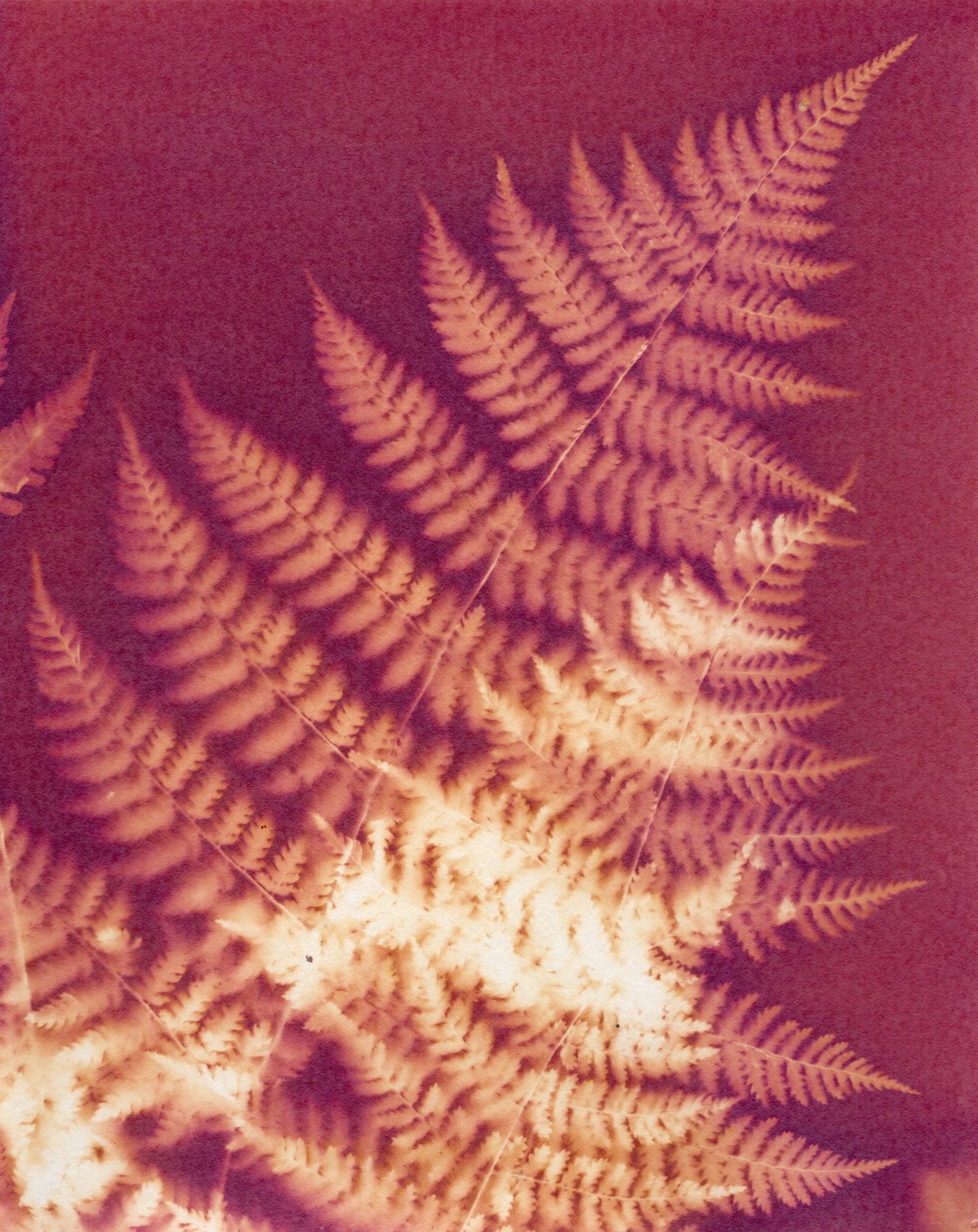 Across Multiple Papers - 4 of 10.jpeg