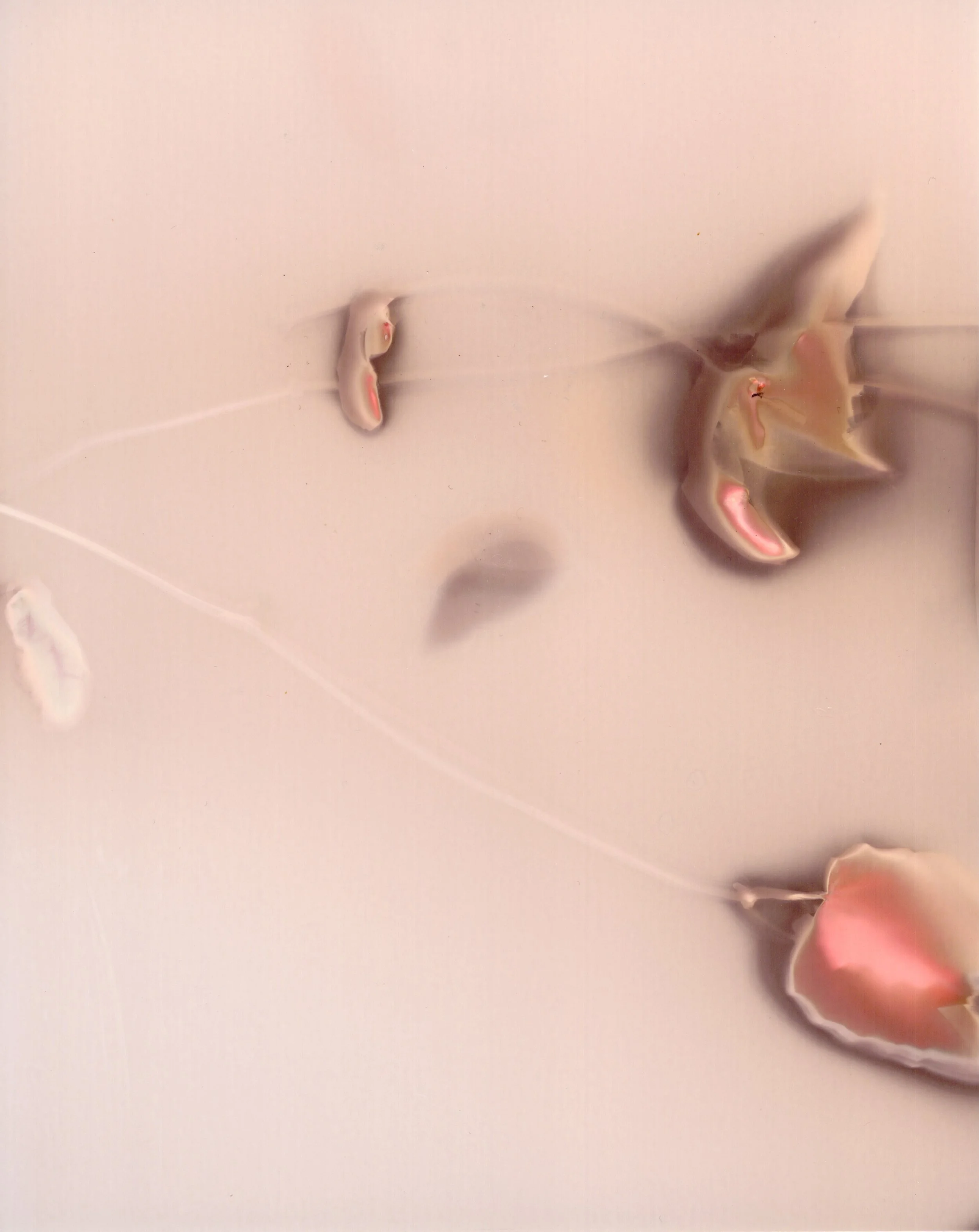 Across Multiple Papers - 5 of 10.jpeg